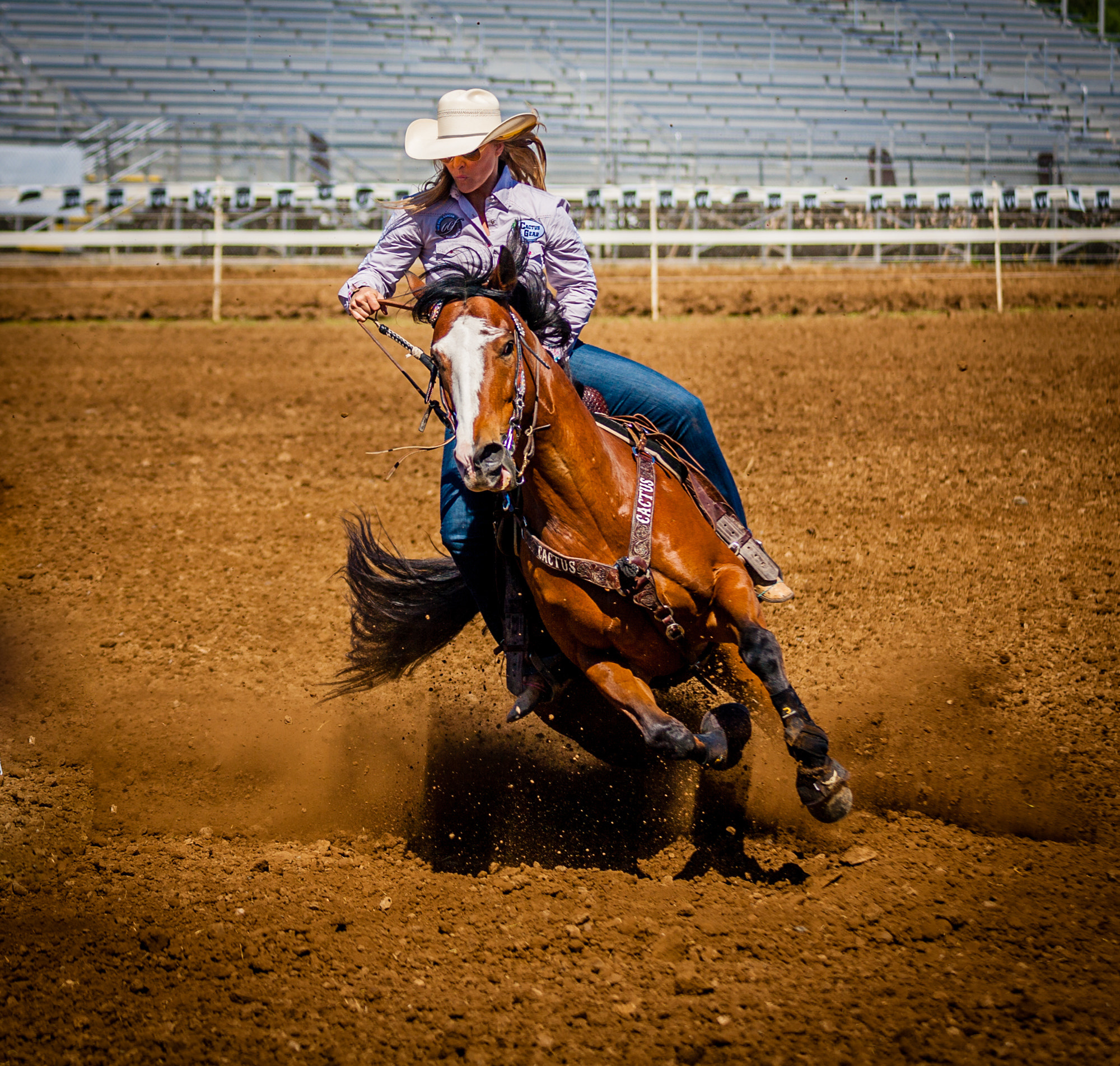 Canon EF 80-200mm f/2.8L sample photo. Kj0l1116.jpg photography