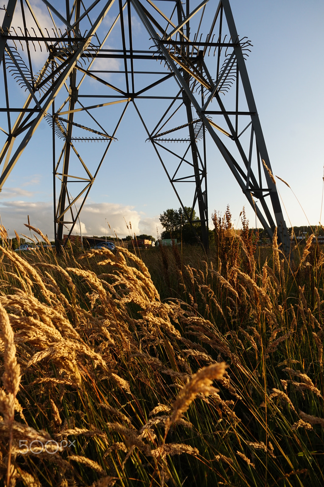 Sony Alpha a5000 (ILCE 5000) + ZEISS Touit 12mm F2.8 sample photo. Grass, mast and clouds photography