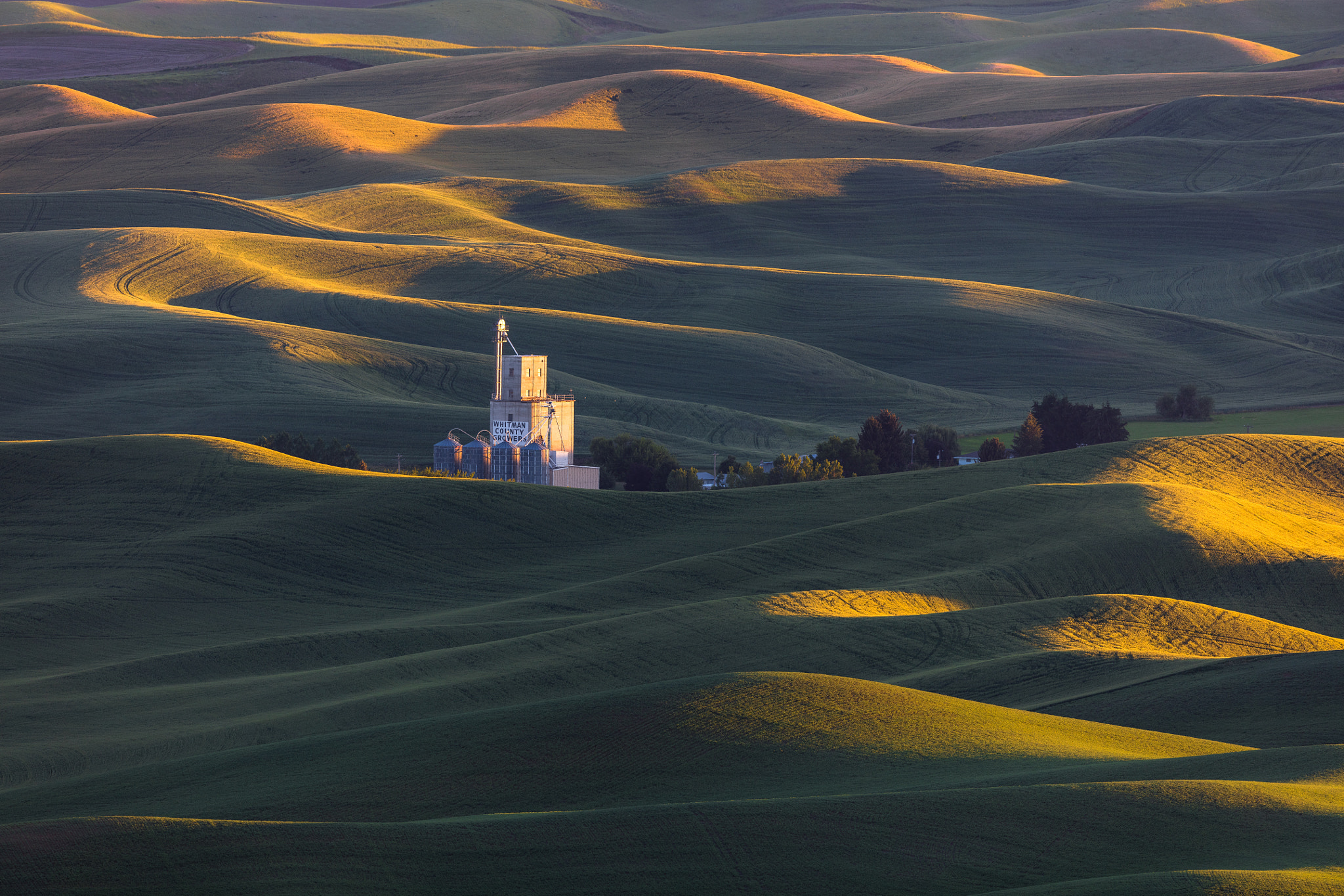 Canon EF 600mm F4L IS II USM sample photo. Lighting up the rolling hills photography