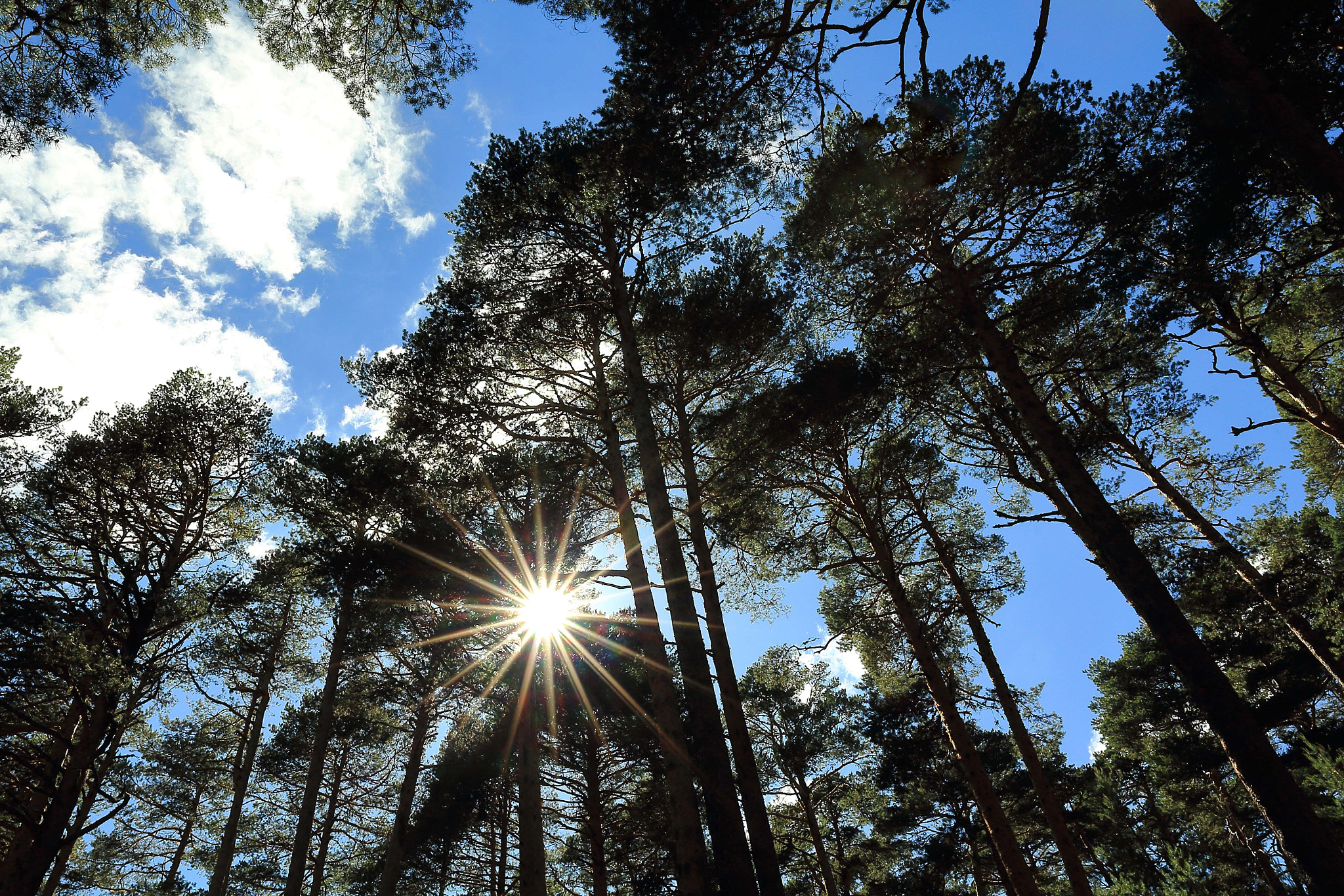 Canon EOS 60D + Canon EF 16-35mm F4L IS USM sample photo. Sol de primavera photography