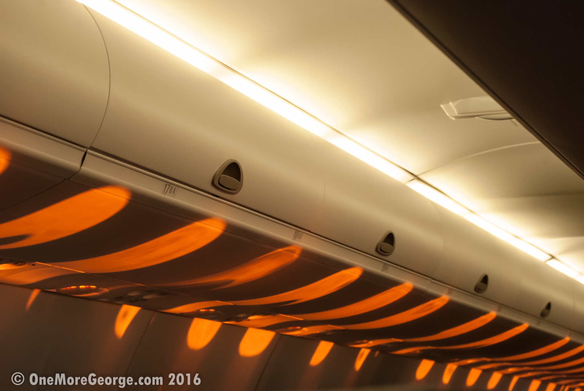 Nikon D40X sample photo. Dawn painting golden windows photography