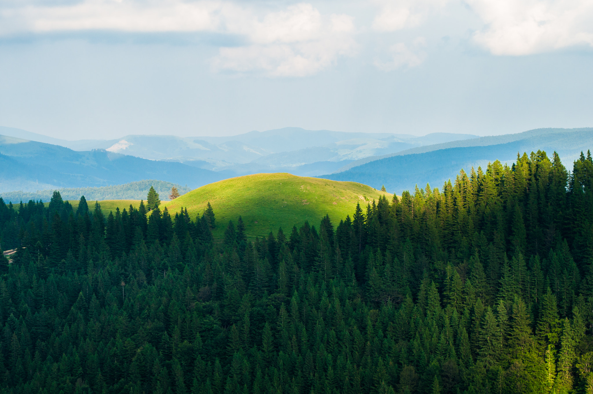 AF Zoom-Nikkor 35-70mm f/3.3-4.5 sample photo. Romania, zanoagei canyon photography
