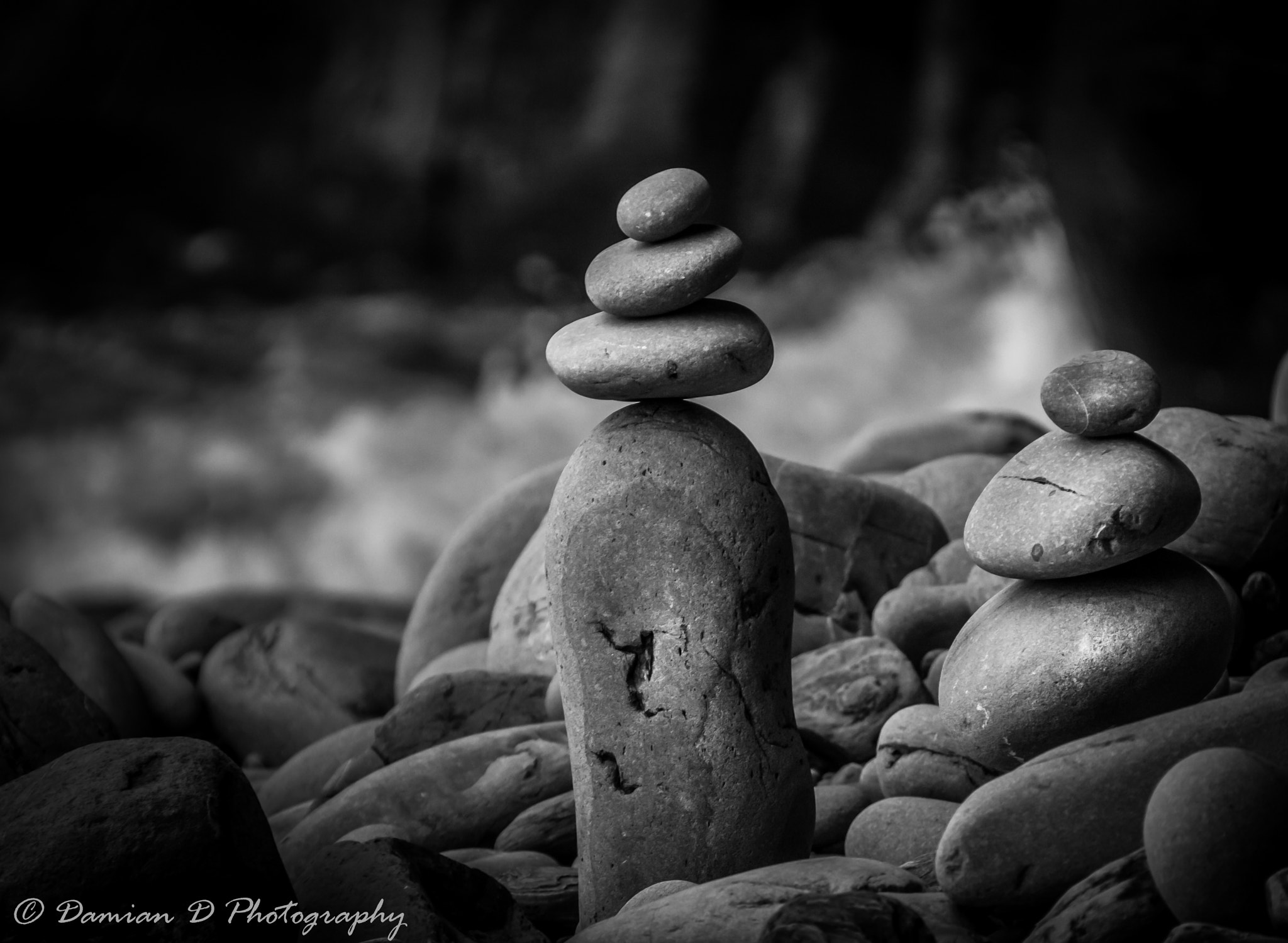 Sigma 50-500mm f/4-6.3 APO HSM EX sample photo. Companieros photography