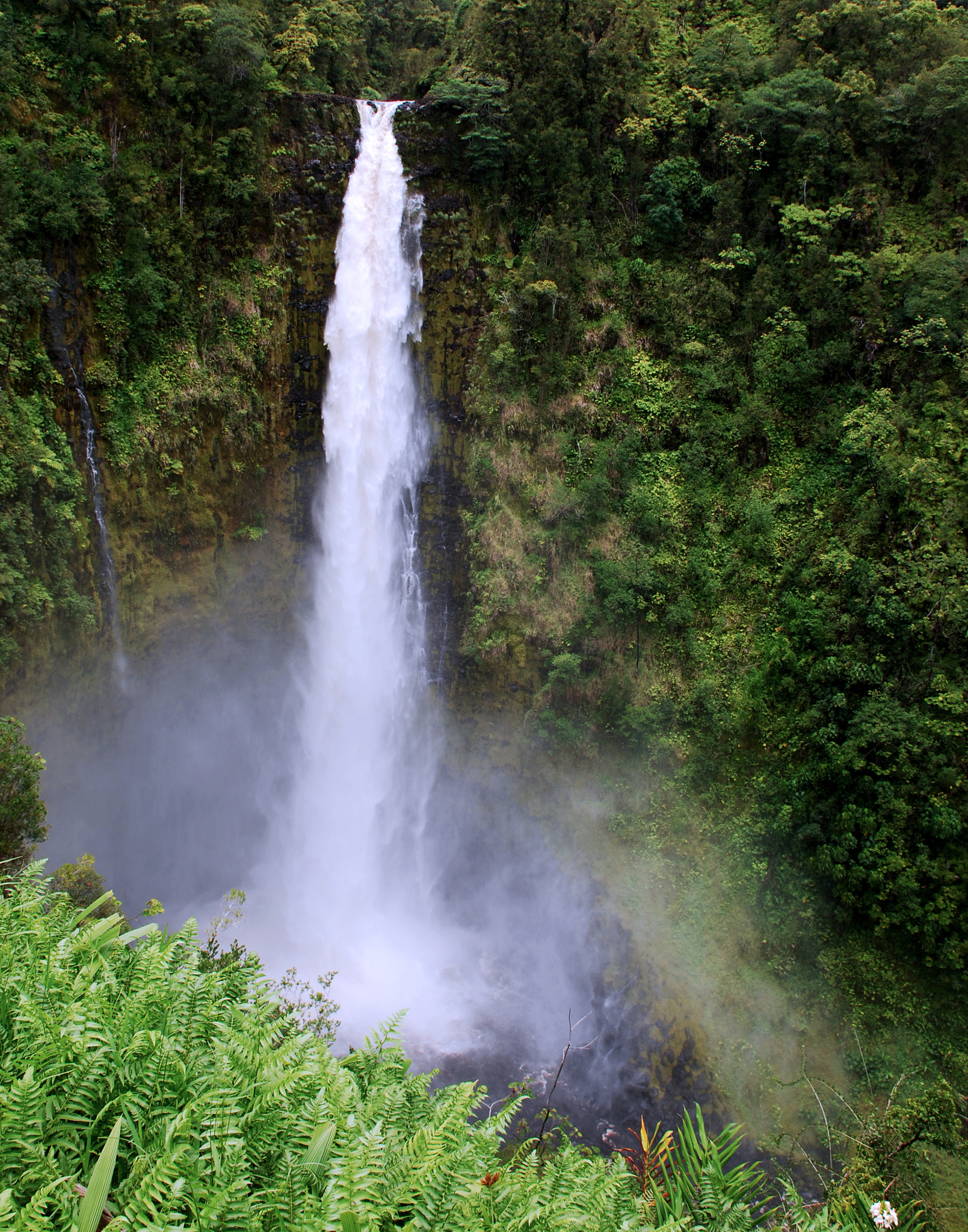 Nikon D40X sample photo. Akaka falls, hawaii photography
