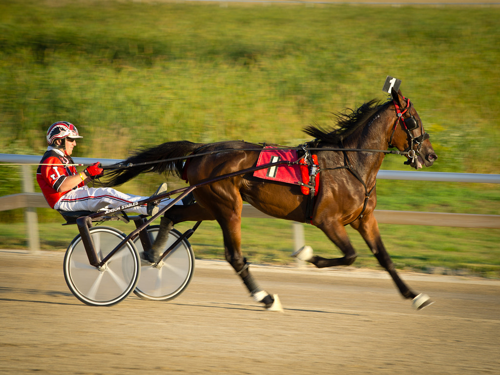 sulky racing by P Klassen / 500px