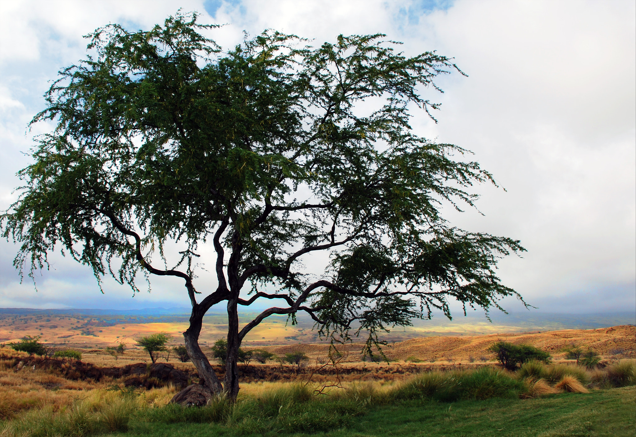 Nikon D40X sample photo. Surreal hawaii photography