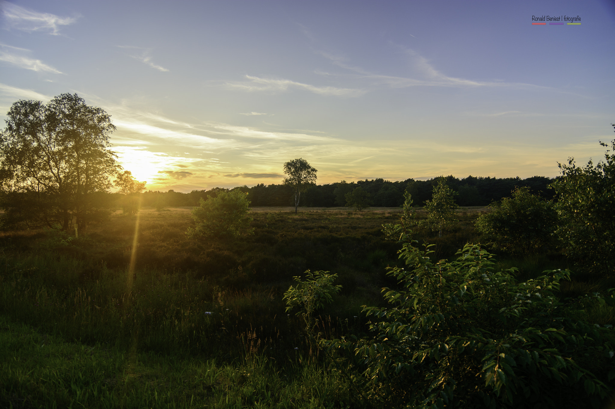 Tokina AT-X Pro 12-24mm F4 (IF) DX sample photo. Zonsondergang photography