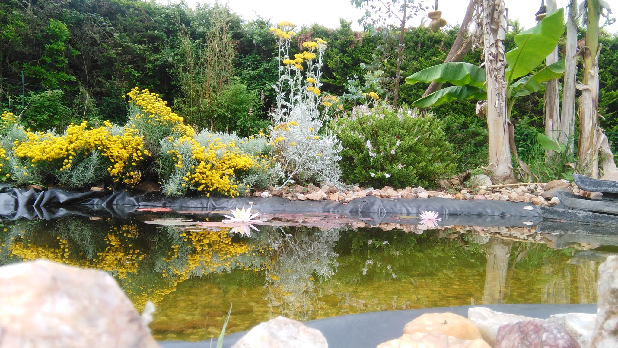HUAWEI G620S-L01 sample photo. My secret garden photography