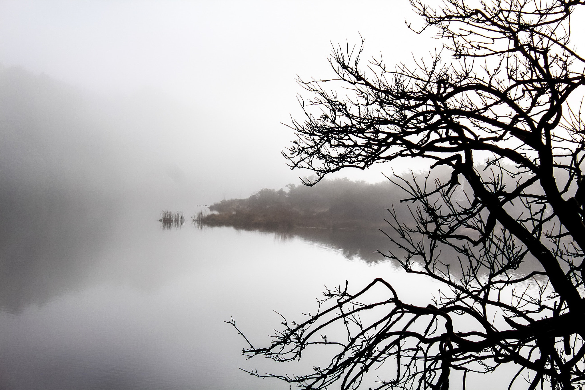 Canon EF-S 18-55mm F3.5-5.6 III sample photo. #earlybird photography
