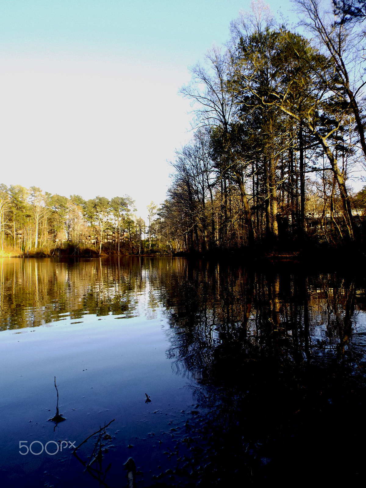 Fujifilm FinePix S8500 sample photo. Swamp view photography