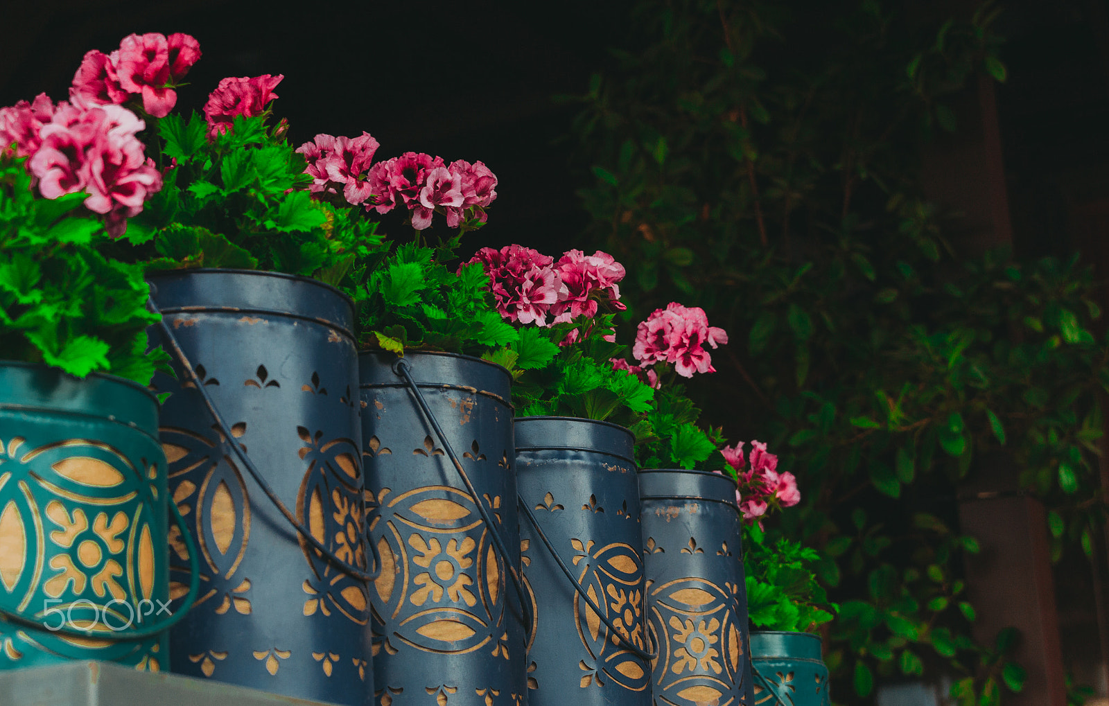 Nikon D3100 sample photo. Lilac flowers in the vases photography
