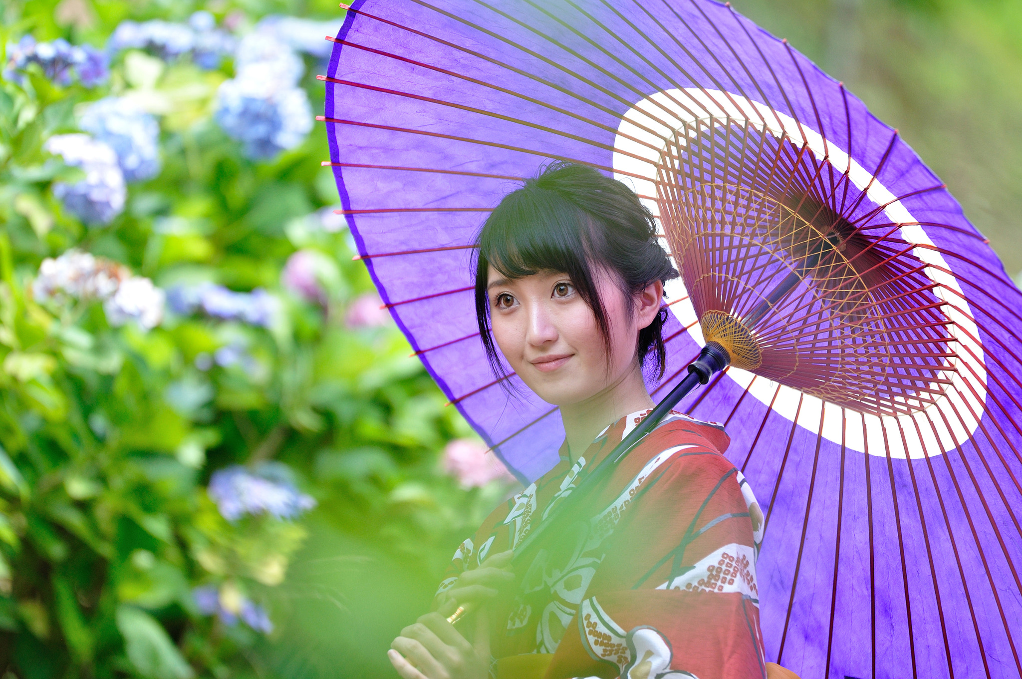 Nikon AF-S Nikkor 70-200mm F2.8G ED VR II sample photo. Hydrangea photography