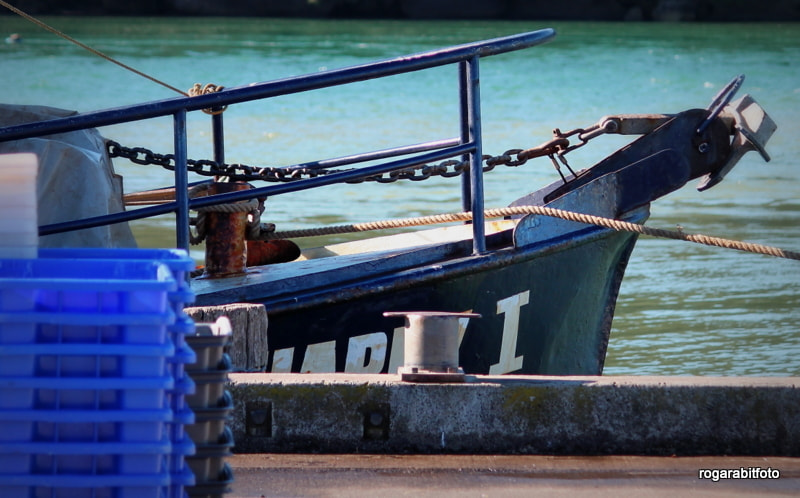 Canon EF-S 55-250mm F4-5.6 IS sample photo. Tied up. photography