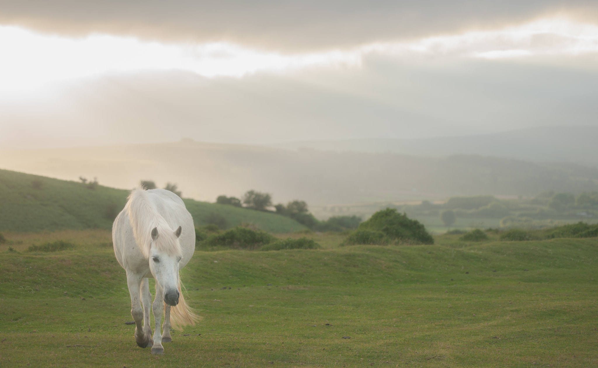 Sony Alpha DSLR-A900 + Sony 70-400mm F4-5.6 G SSM sample photo. Dartmoor view photography