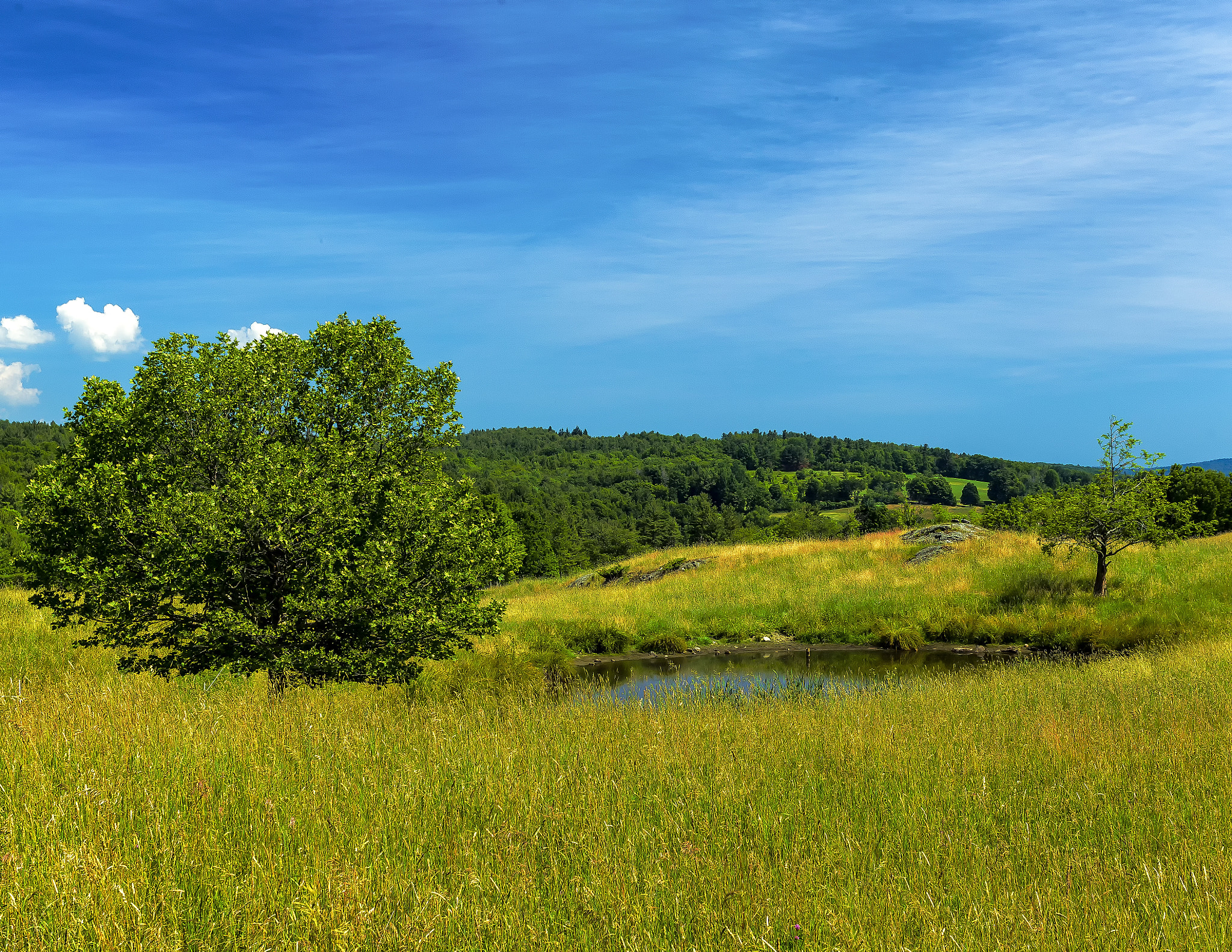 Canon EOS-1D Mark IV sample photo. The farm pond photography