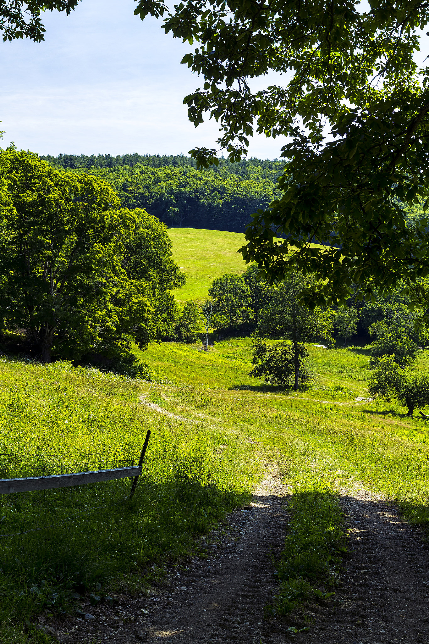 Canon EOS-1D Mark IV sample photo. The perfect meadow photography