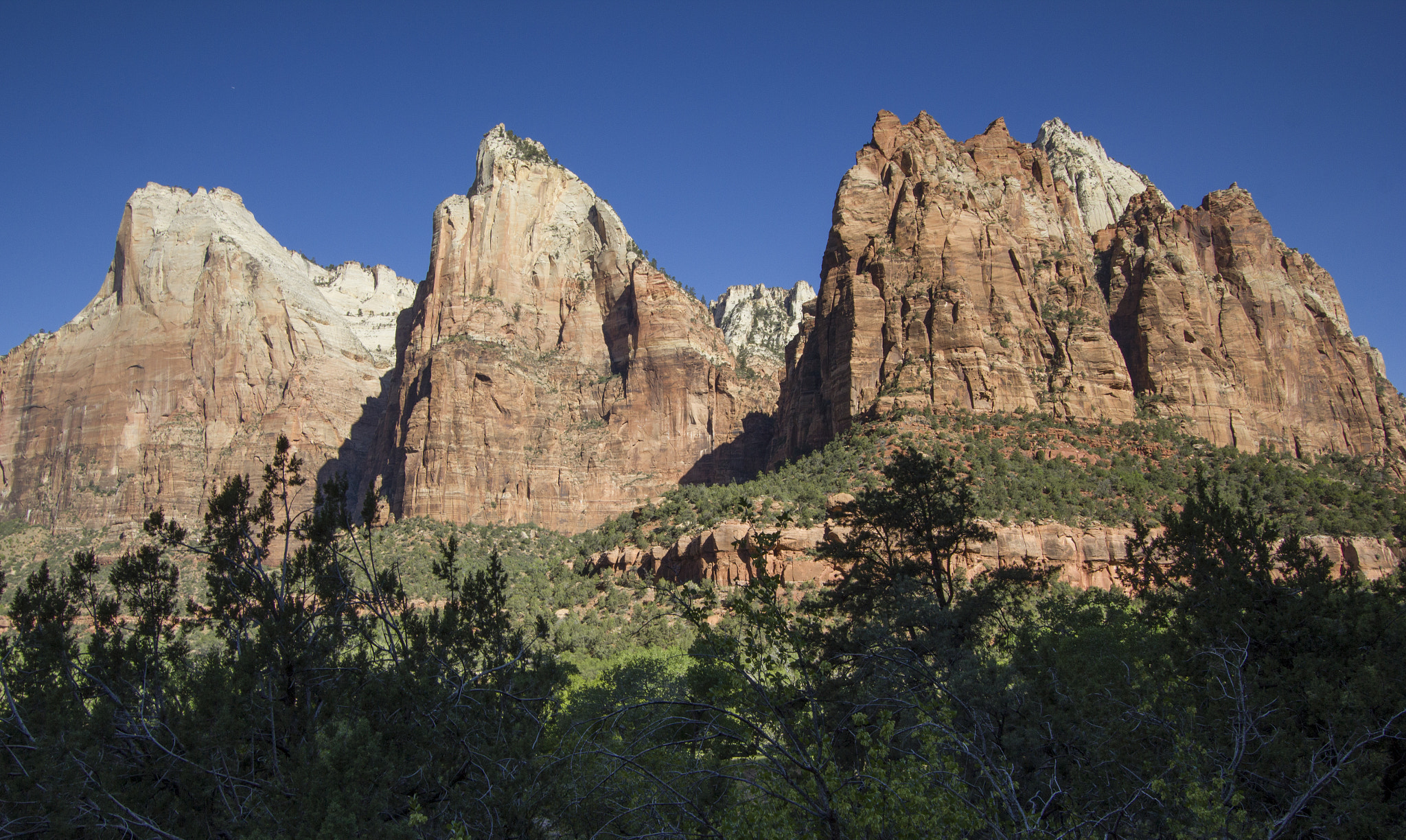 Canon EF-S 10-22mm F3.5-4.5 USM sample photo. Zion national park photography