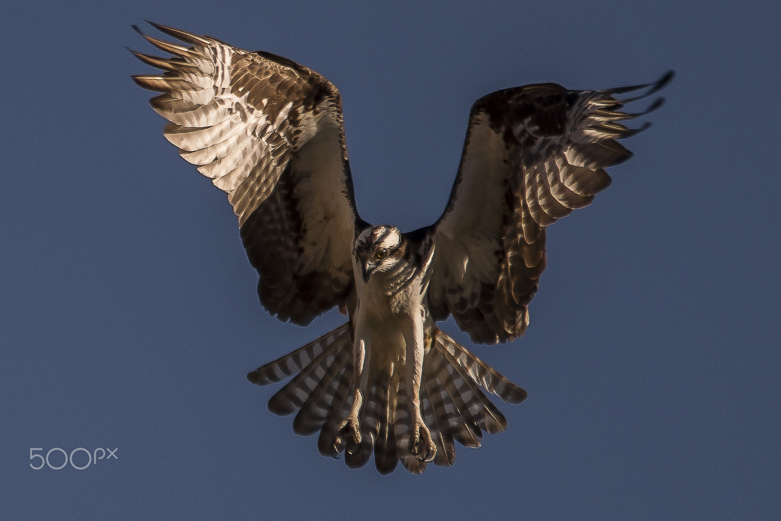 Sigma 120-400mm F4.5-5.6 DG OS HSM sample photo. Fishing plans photography