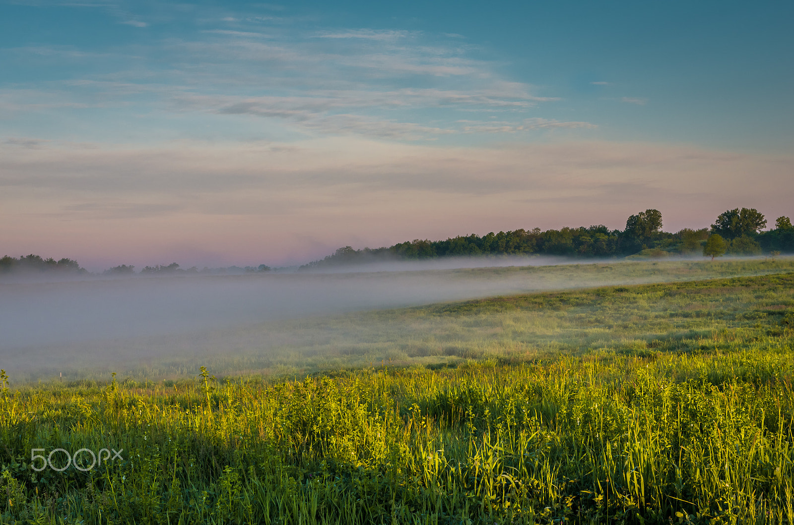 Sigma 17-70mm F2.8-4 DC Macro HSM | C sample photo. Field of fog photography