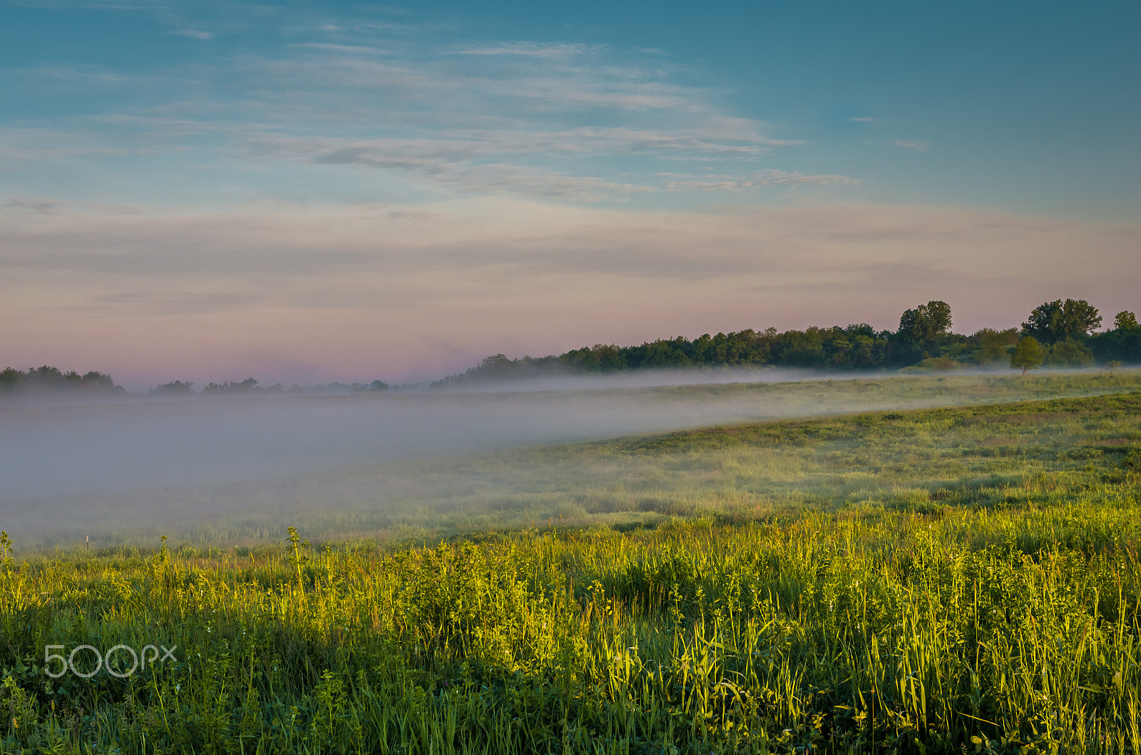 Pentax K-5 IIs sample photo. Field of fog photography