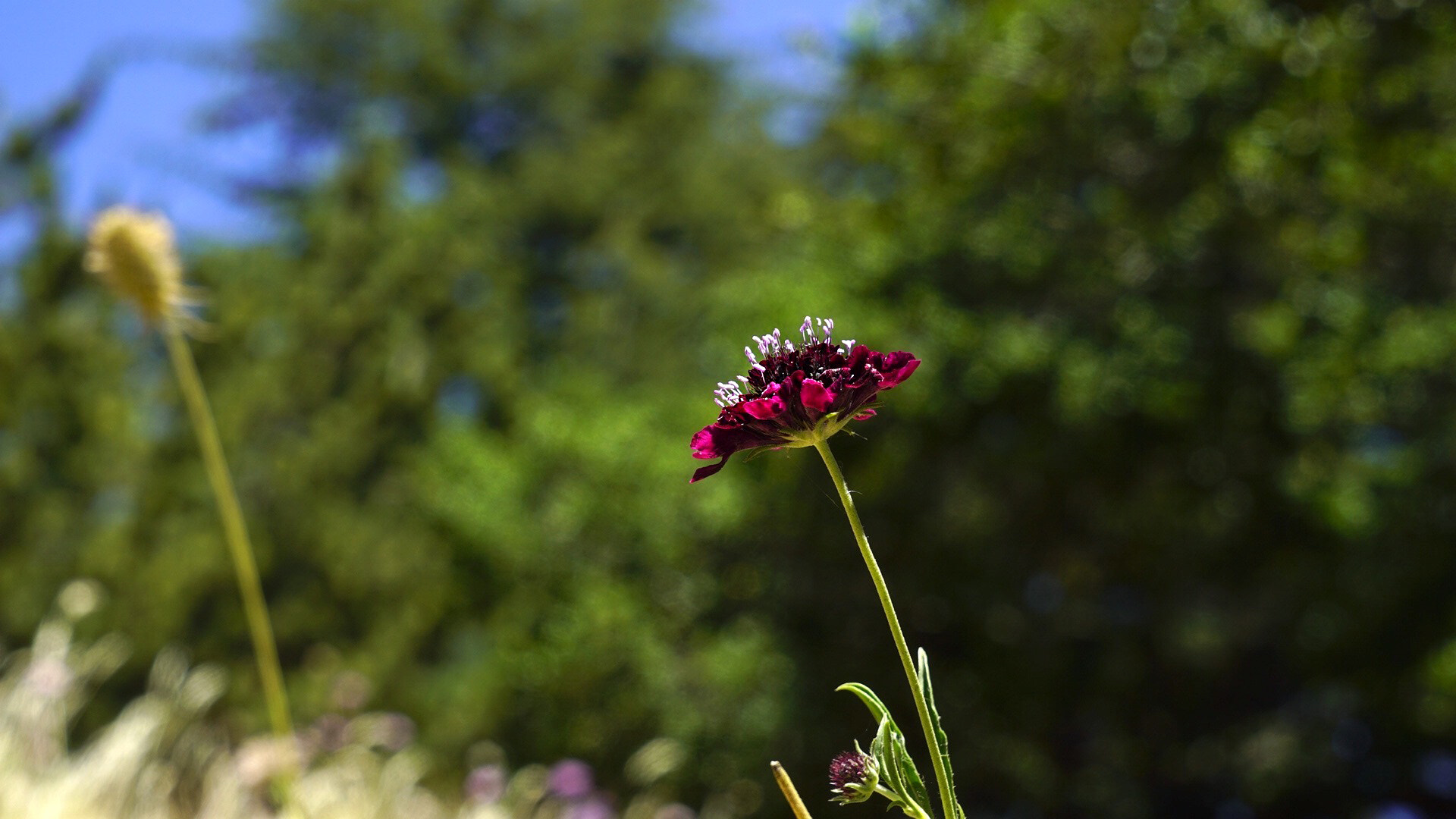 Sony a7S II + Sony 0mm F0.0 sample photo. Determined photography