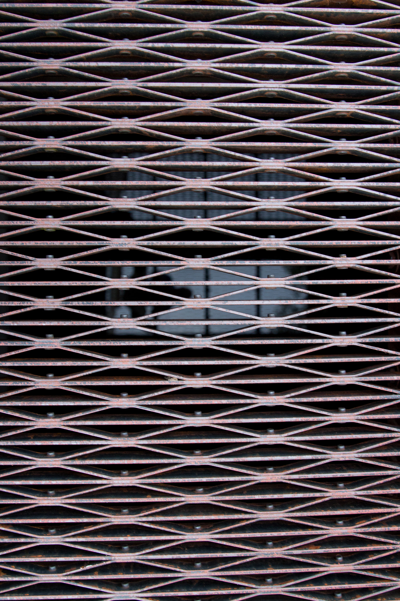 Canon EOS 650D (EOS Rebel T4i / EOS Kiss X6i) sample photo. Pattern photography