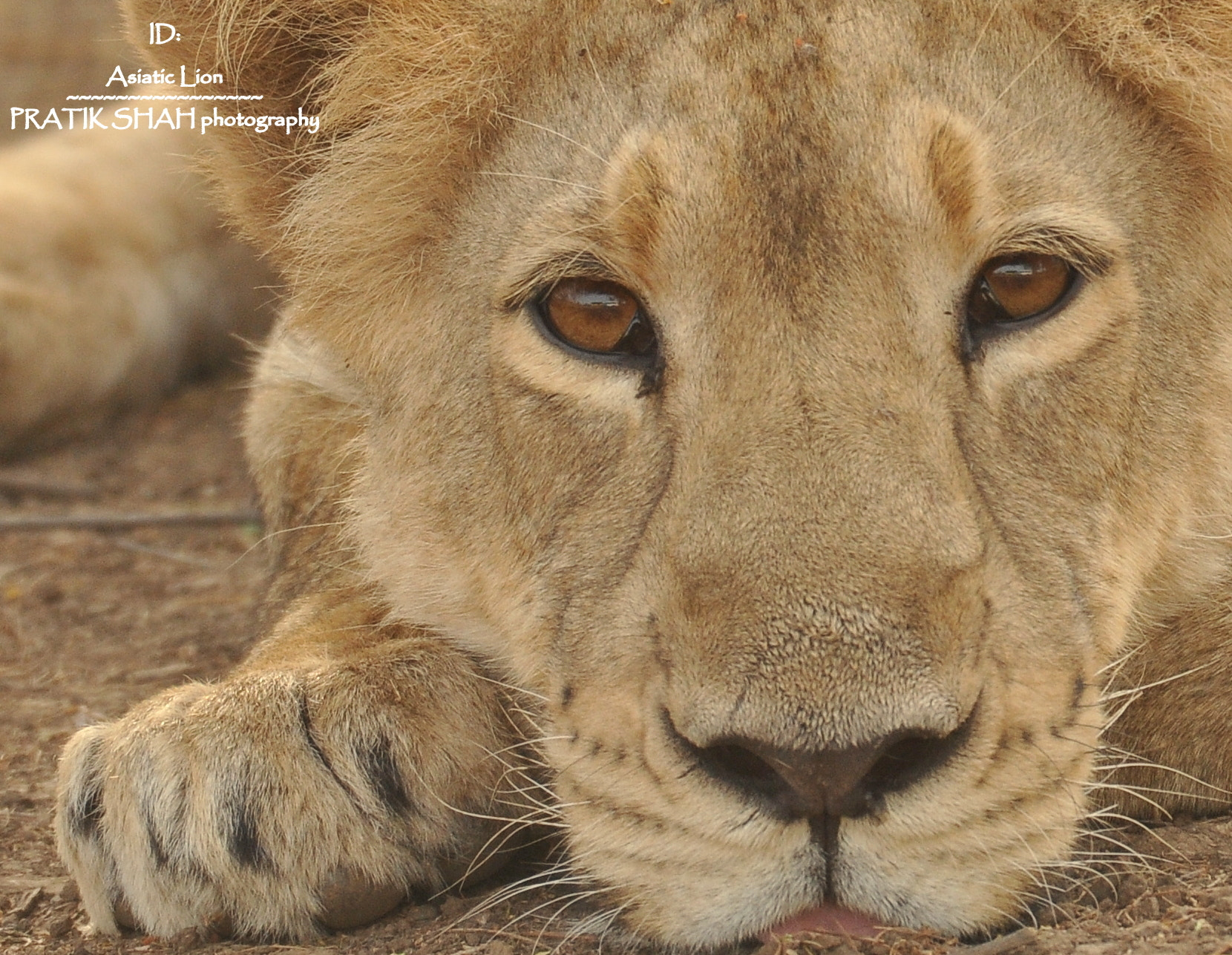 Nikon AF-S Nikkor 200-500mm F5.6E ED VR sample photo