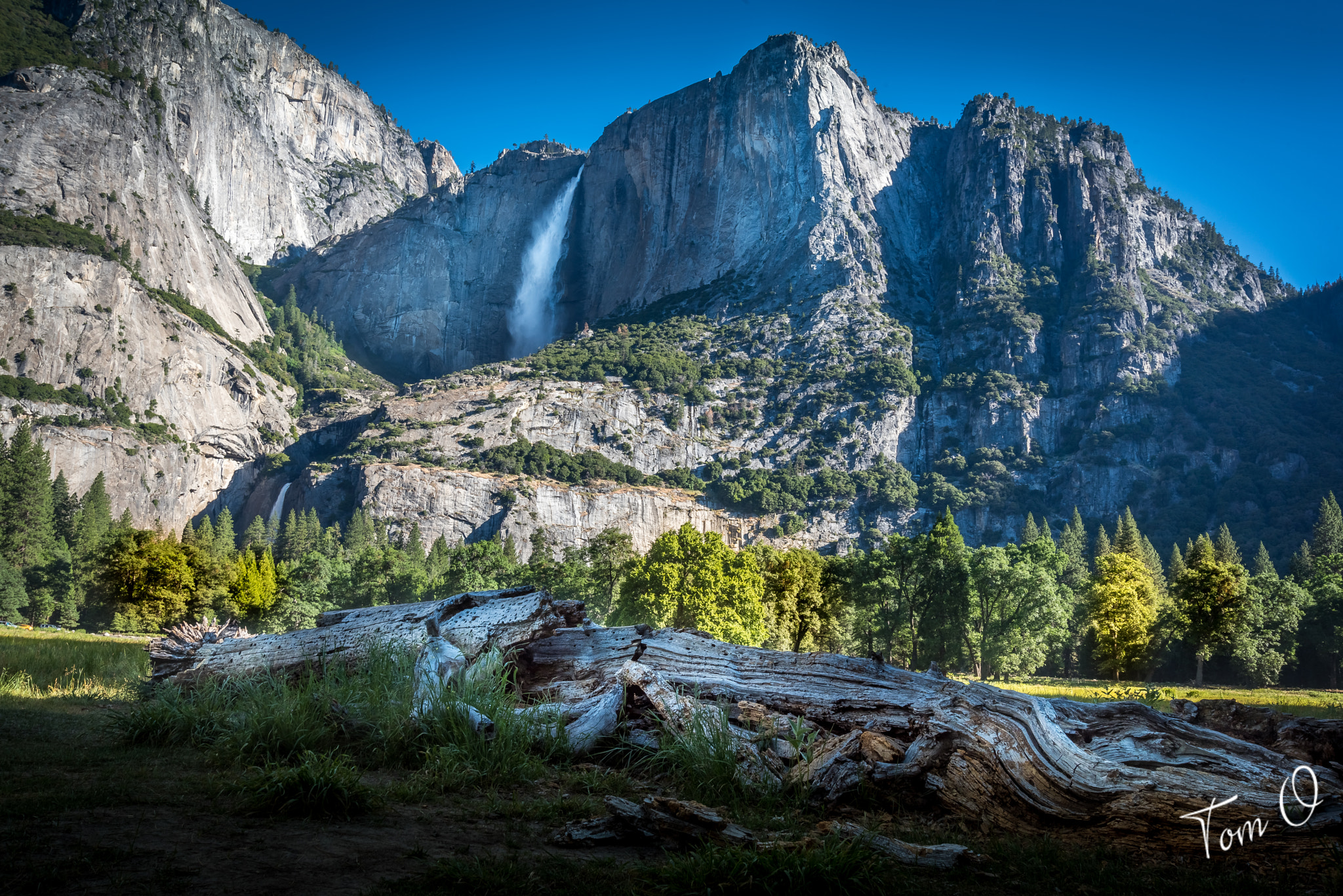 Nikon AF Nikkor 24-85mm F2.8-4D IF sample photo. Yosemite photography