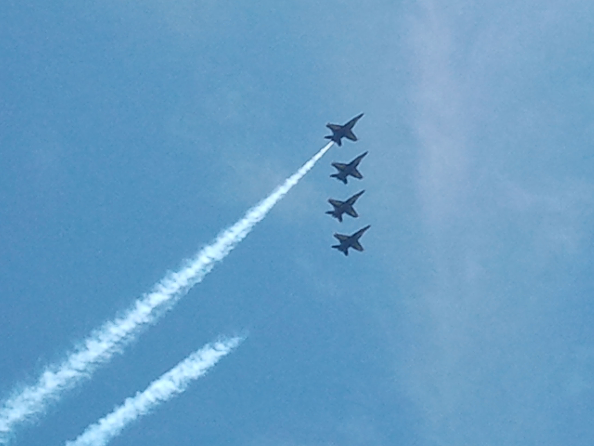 Samsung Galaxy S sample photo. Our blues!  photography
