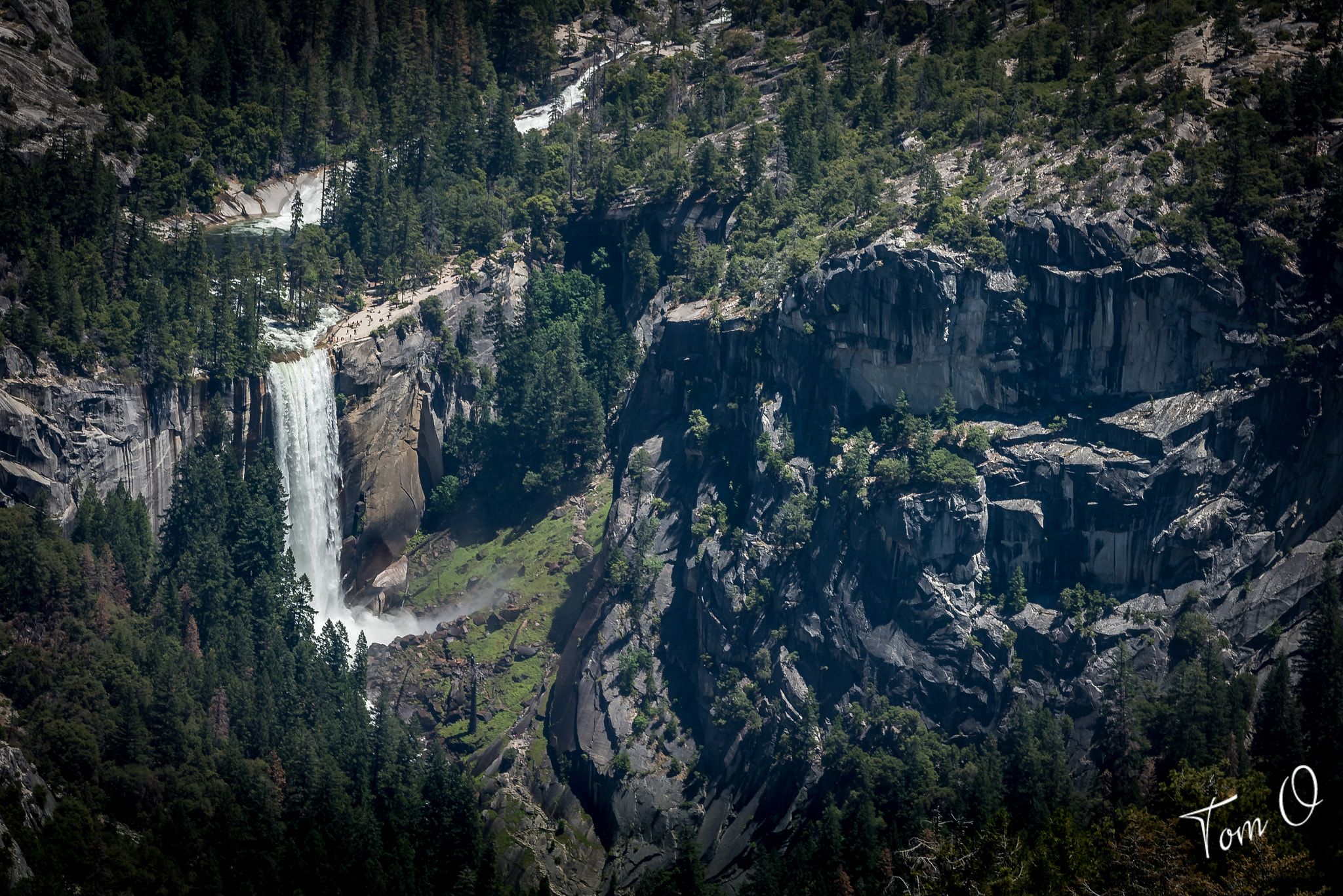 Nikon D810 + Tamron SP AF 70-200mm F2.8 Di LD (IF) MACRO sample photo. Yosemite photography