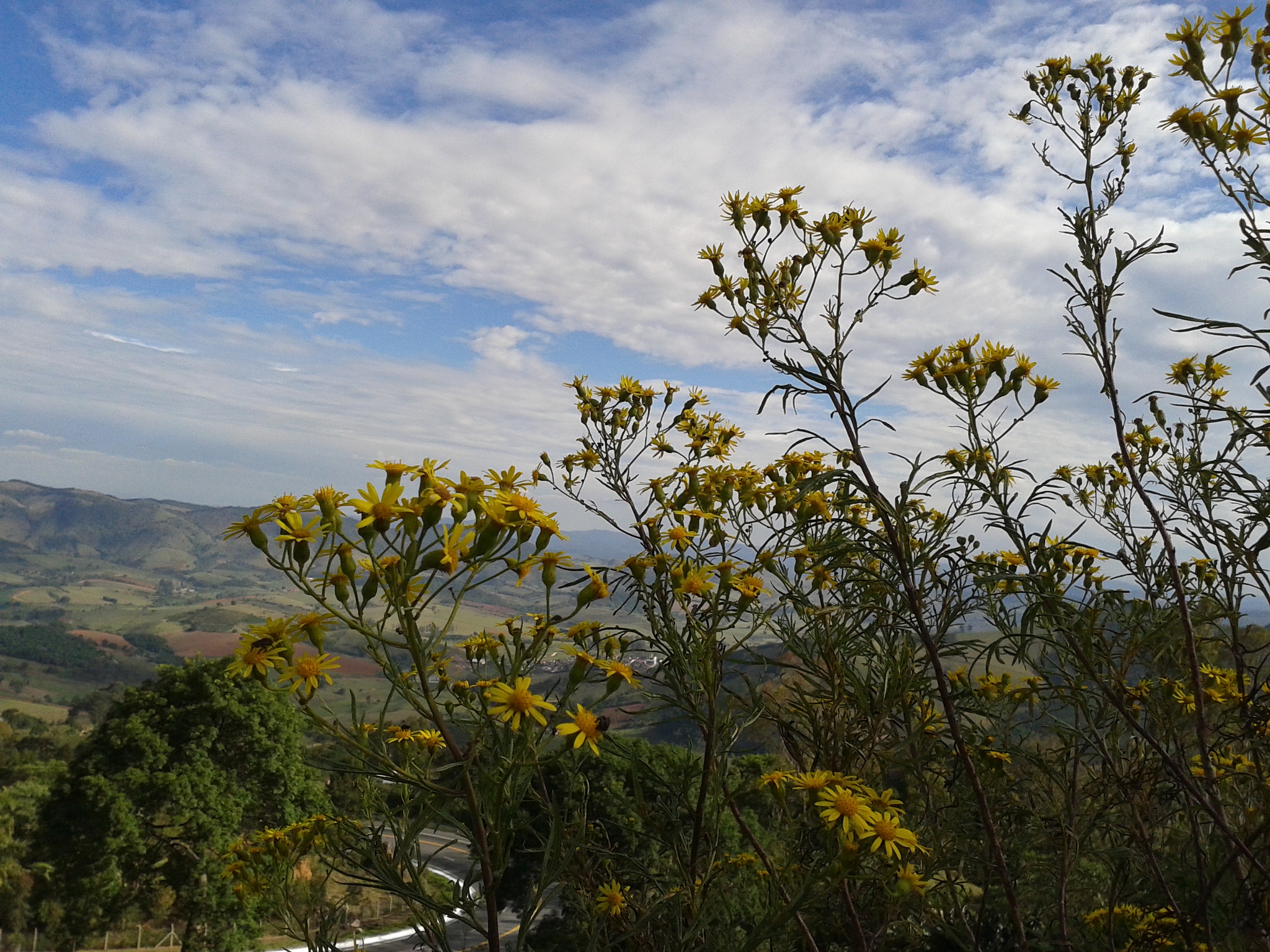Samsung Galaxy Win sample photo. Pouso_alegre.jpg photography