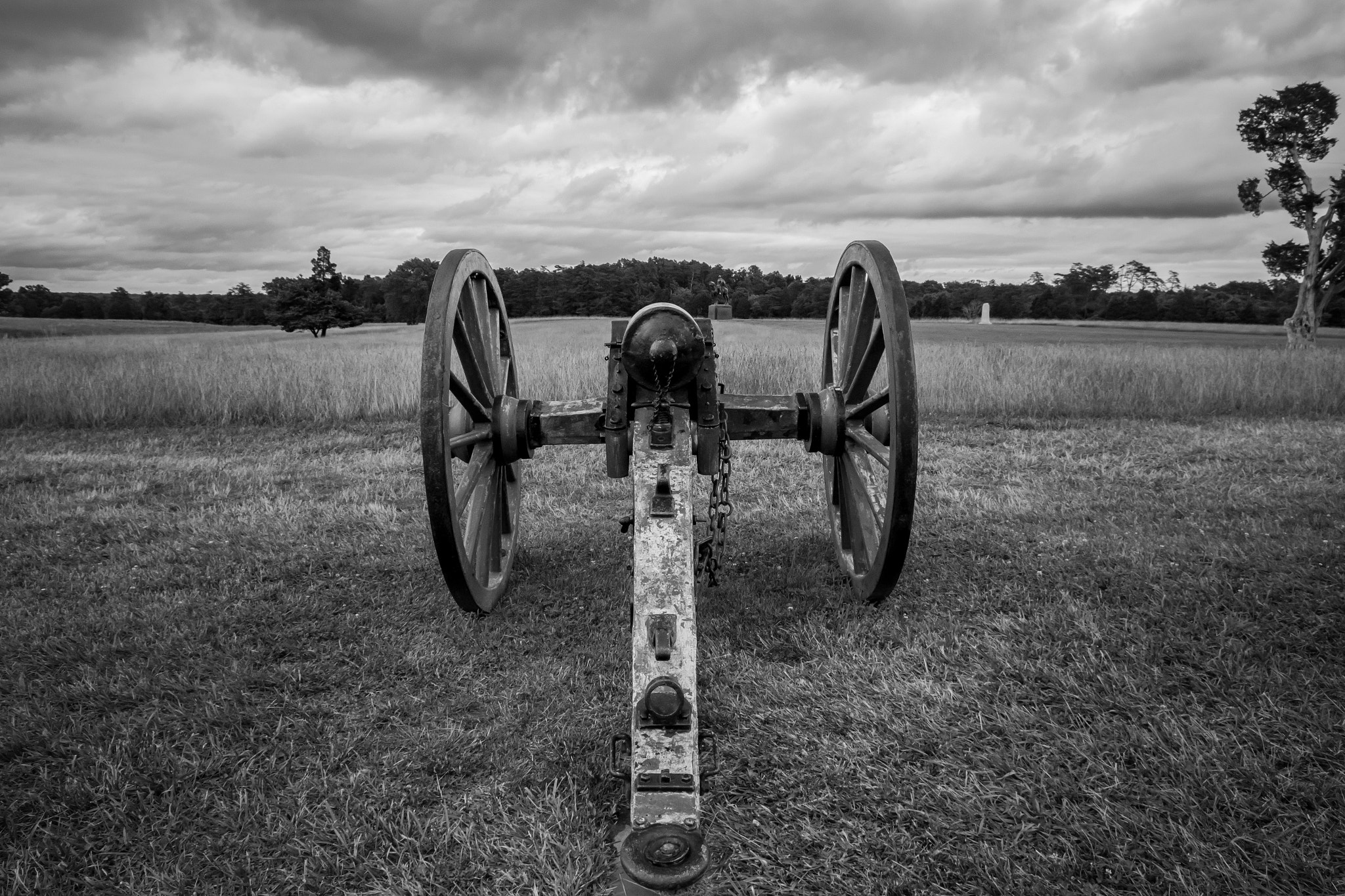 Sigma 10-20mm F4-5.6 EX DC HSM sample photo. Onward at bull run photography