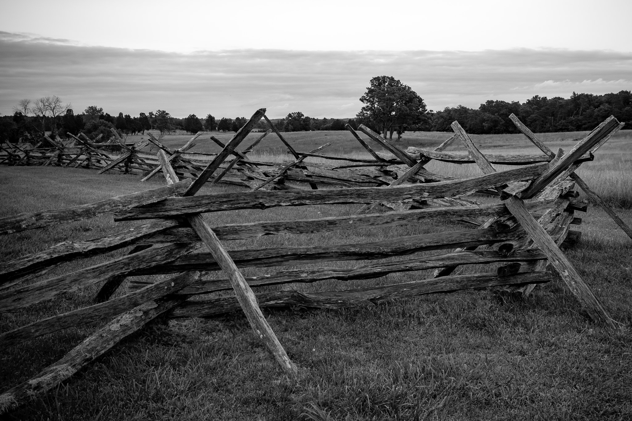 Sigma 10-20mm F4-5.6 EX DC HSM sample photo. Bull run border photography