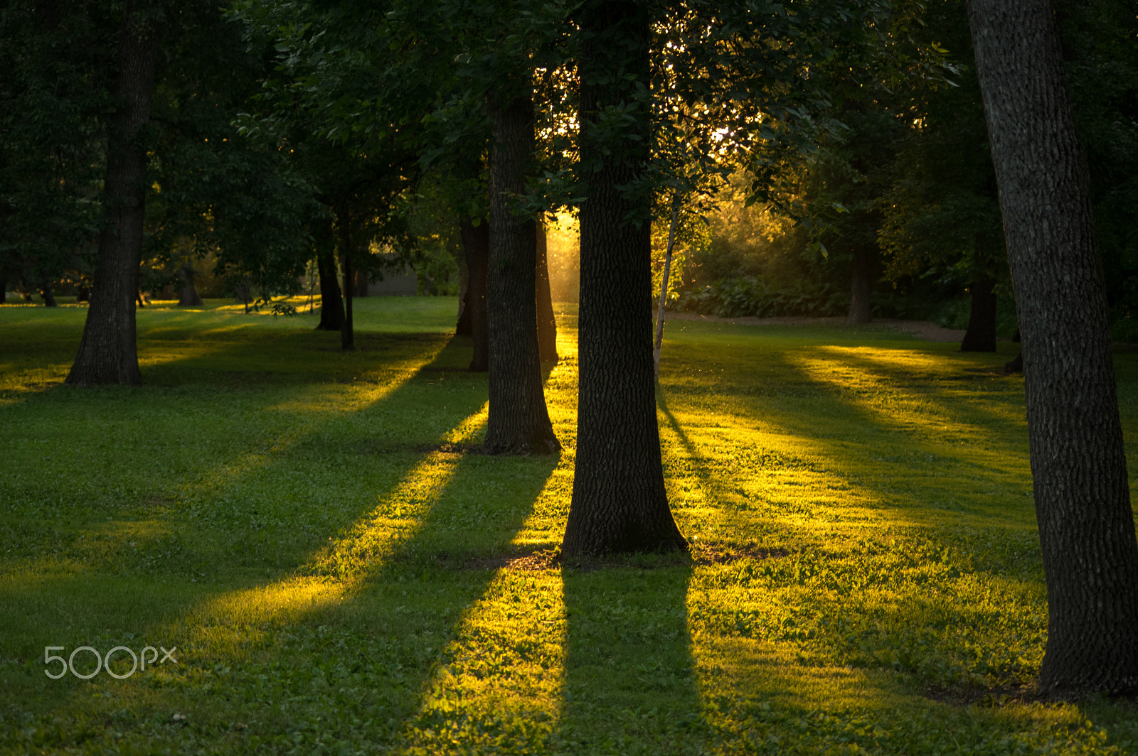 smc PENTAX-DA L 55-300mm F4-5.8 ED sample photo. St. vital vibrance photography