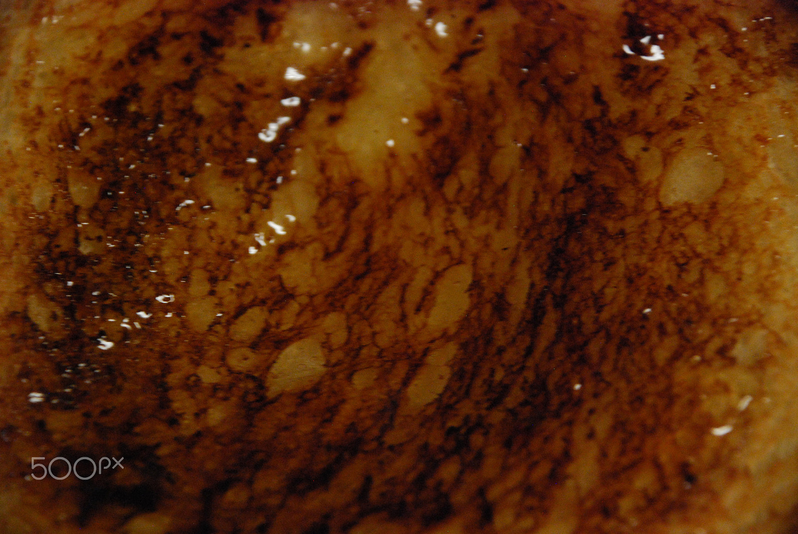 Nikon D40X sample photo. Grilled cheese three photography