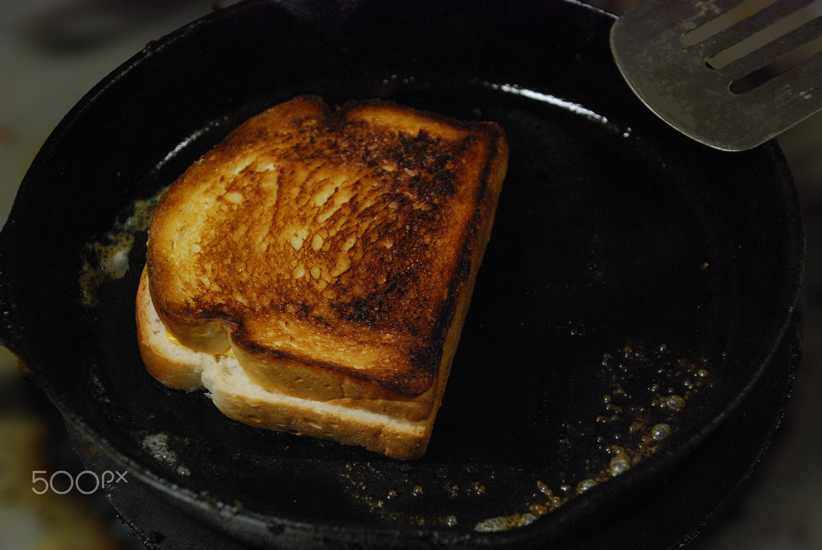 Nikon D40X sample photo. Cooking grilled cheese two photography
