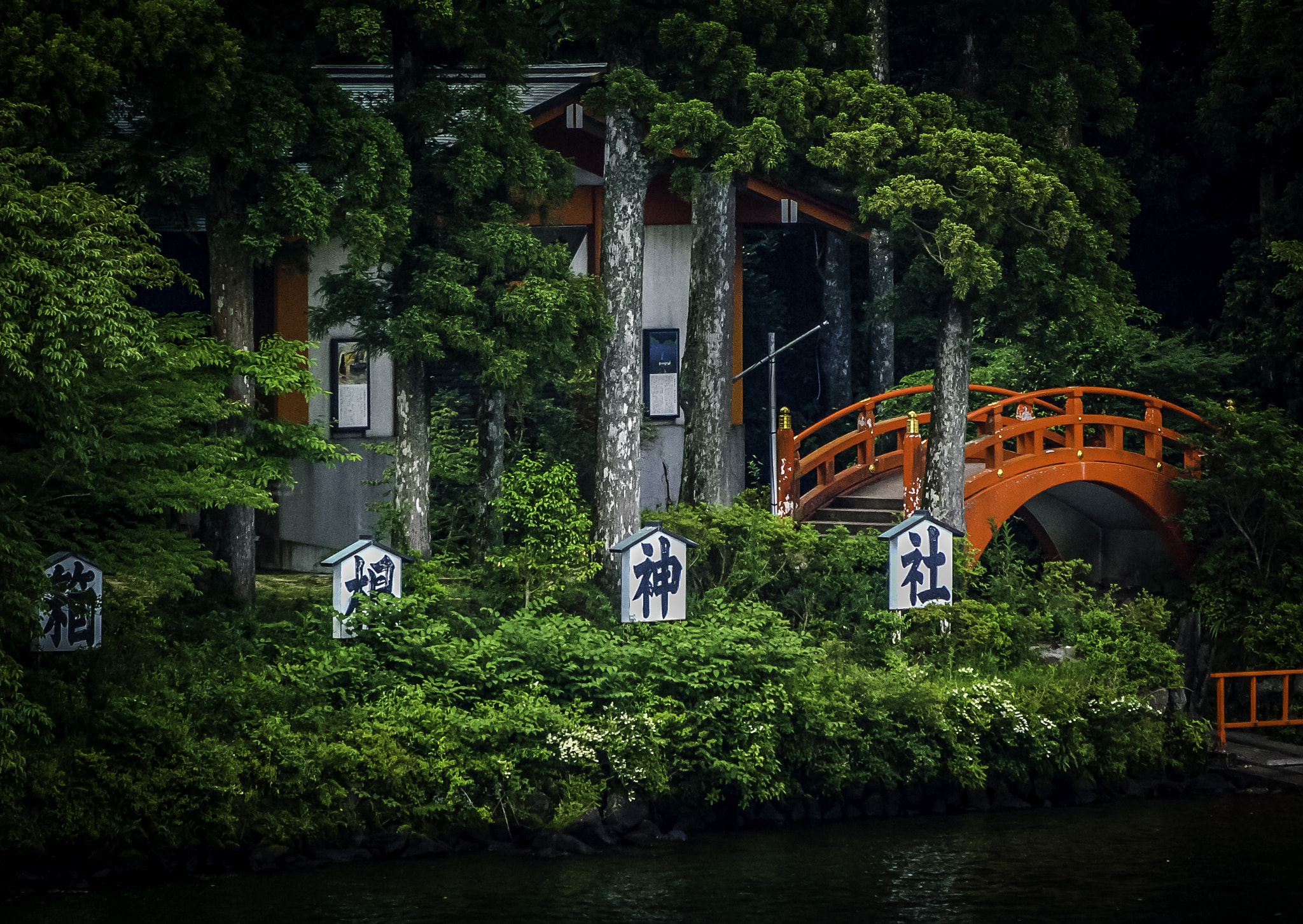 Pentax smc DA 50-200mm F4-5.6 ED sample photo. Hidden photography