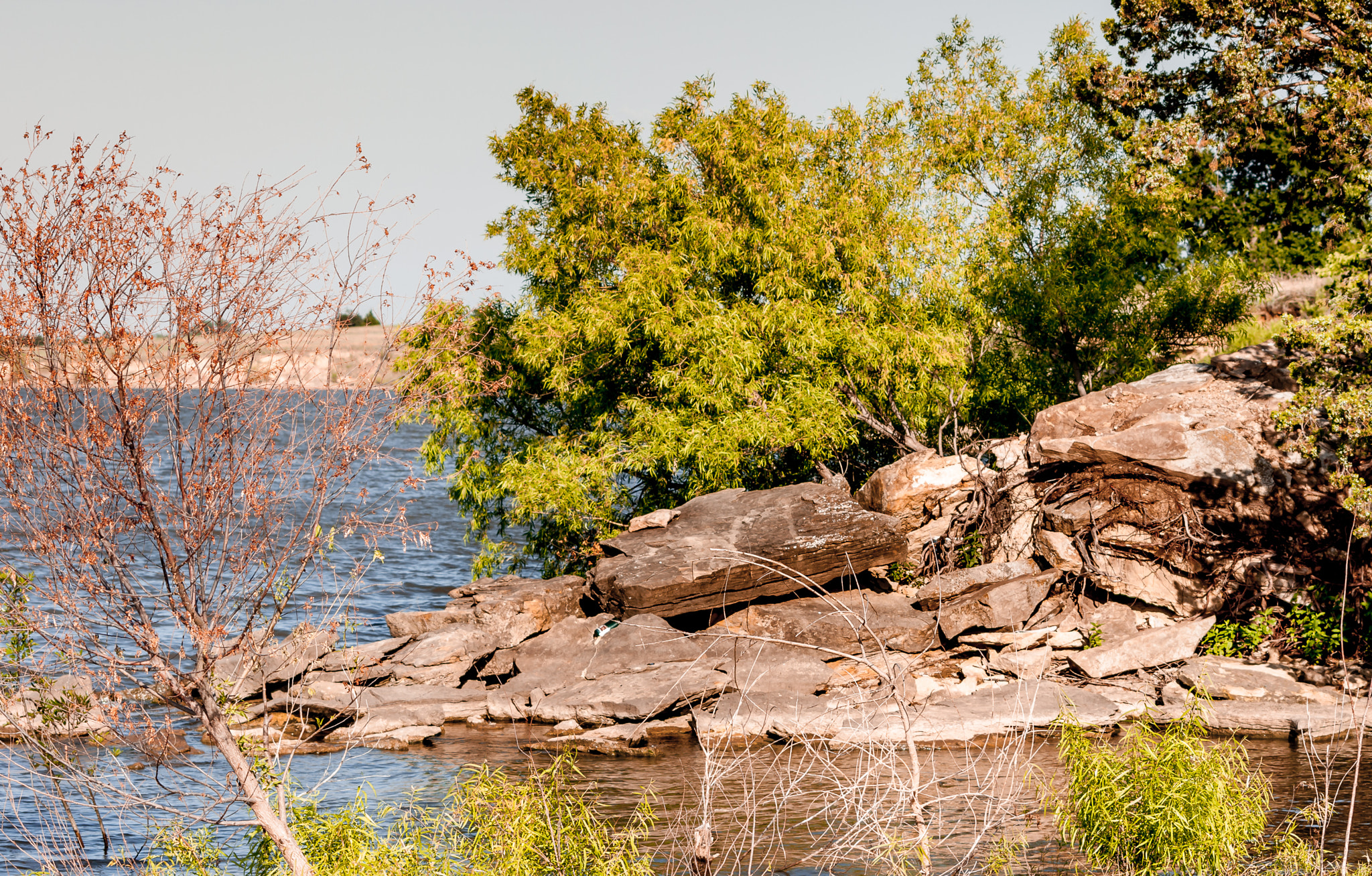 Sigma 70-300mm F4-5.6 APO DG Macro sample photo. Swimming hole photography