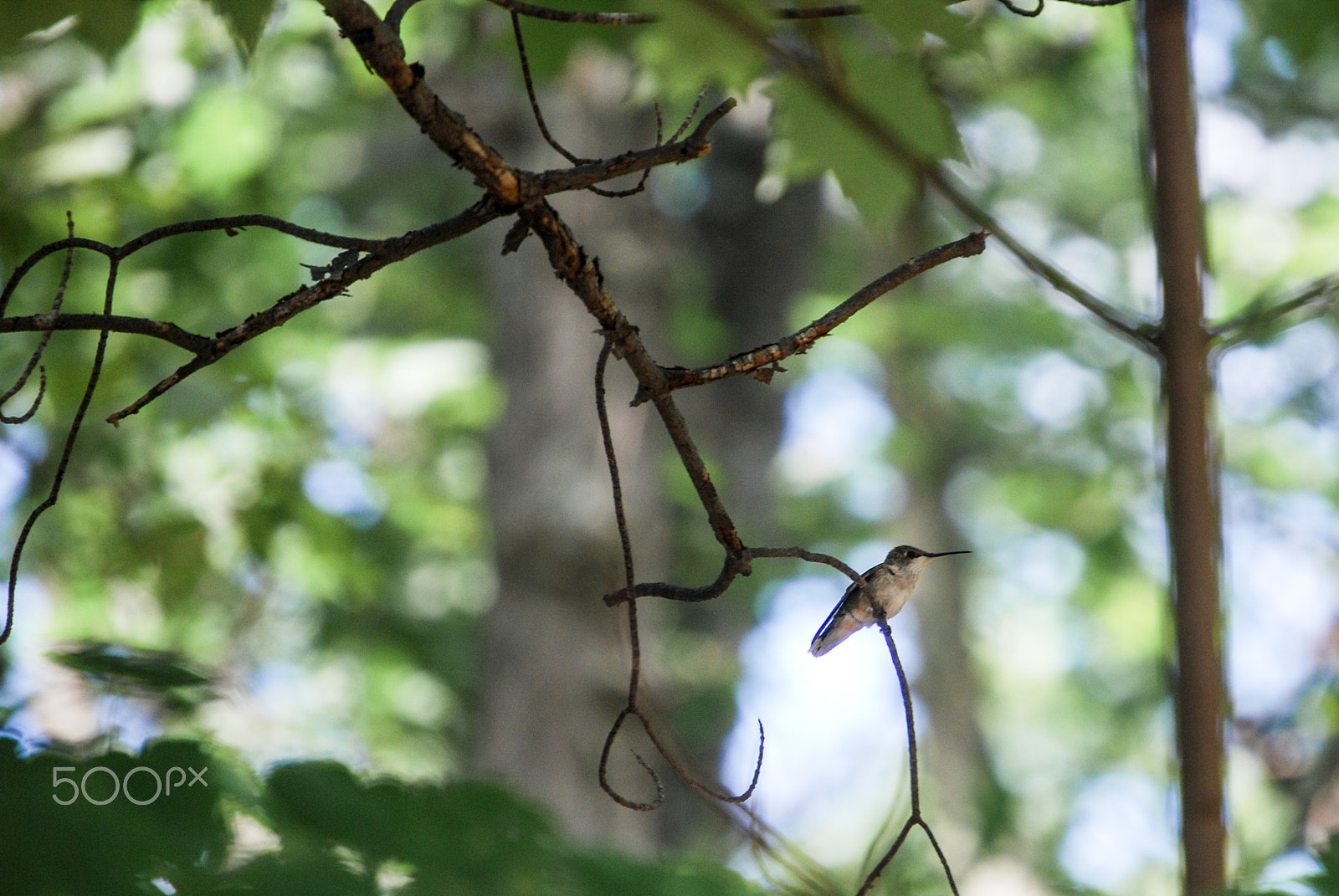 Nikon D40X sample photo. A brief rest photography
