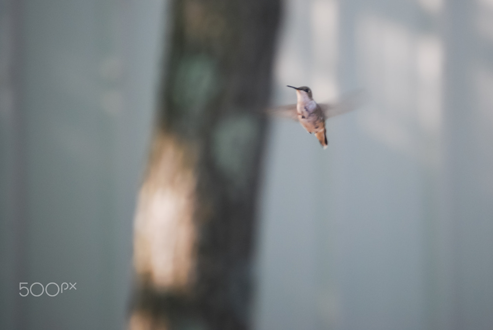 Nikon D40X sample photo. Feeding time! photography