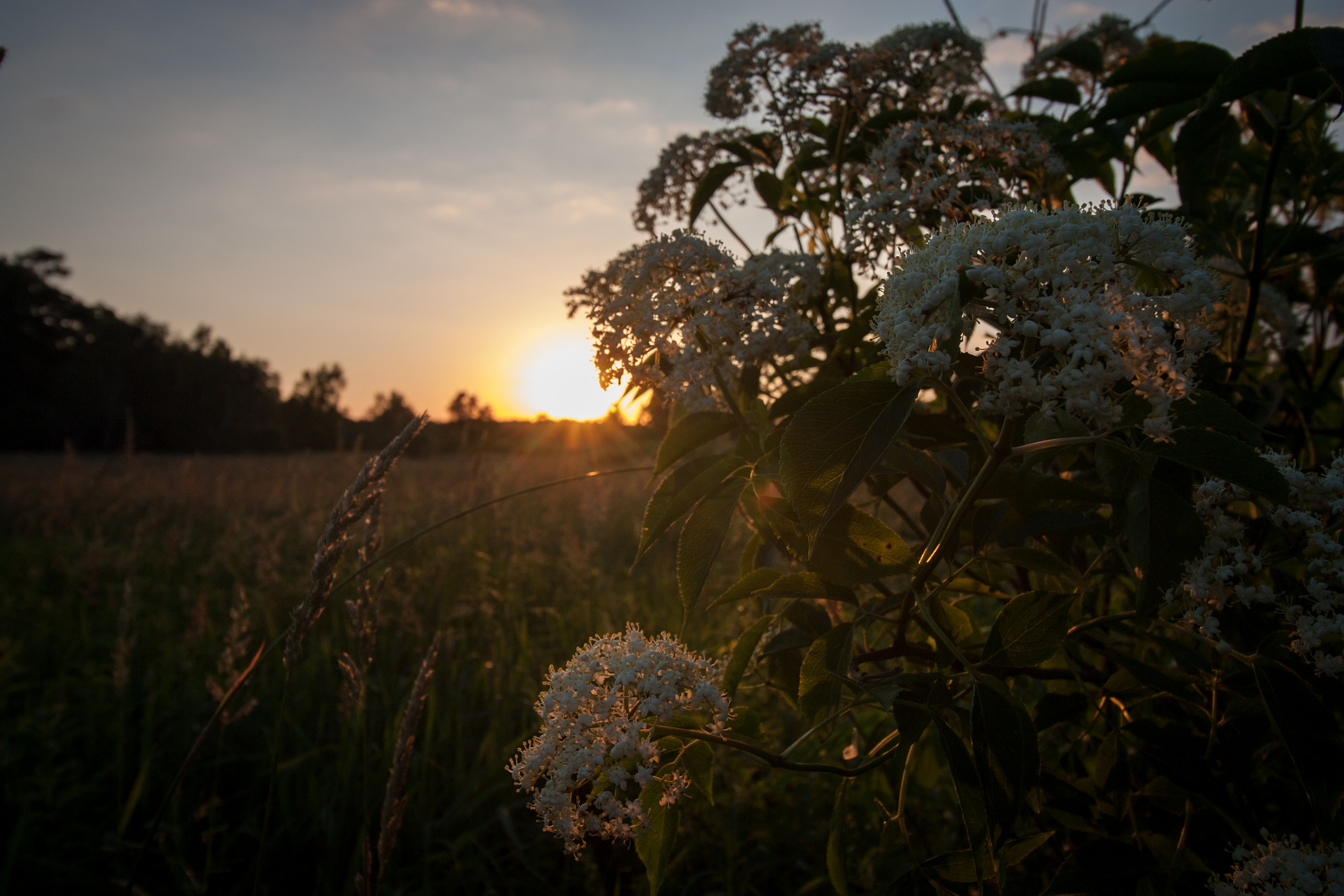 Canon EF-S 10-18mm F4.5–5.6 IS STM sample photo