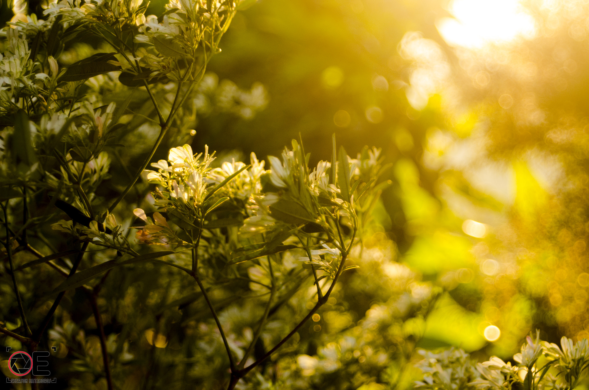 Nikon D7000 + AF Zoom-Nikkor 28-100mm f/3.5-5.6G sample photo. Wind photography