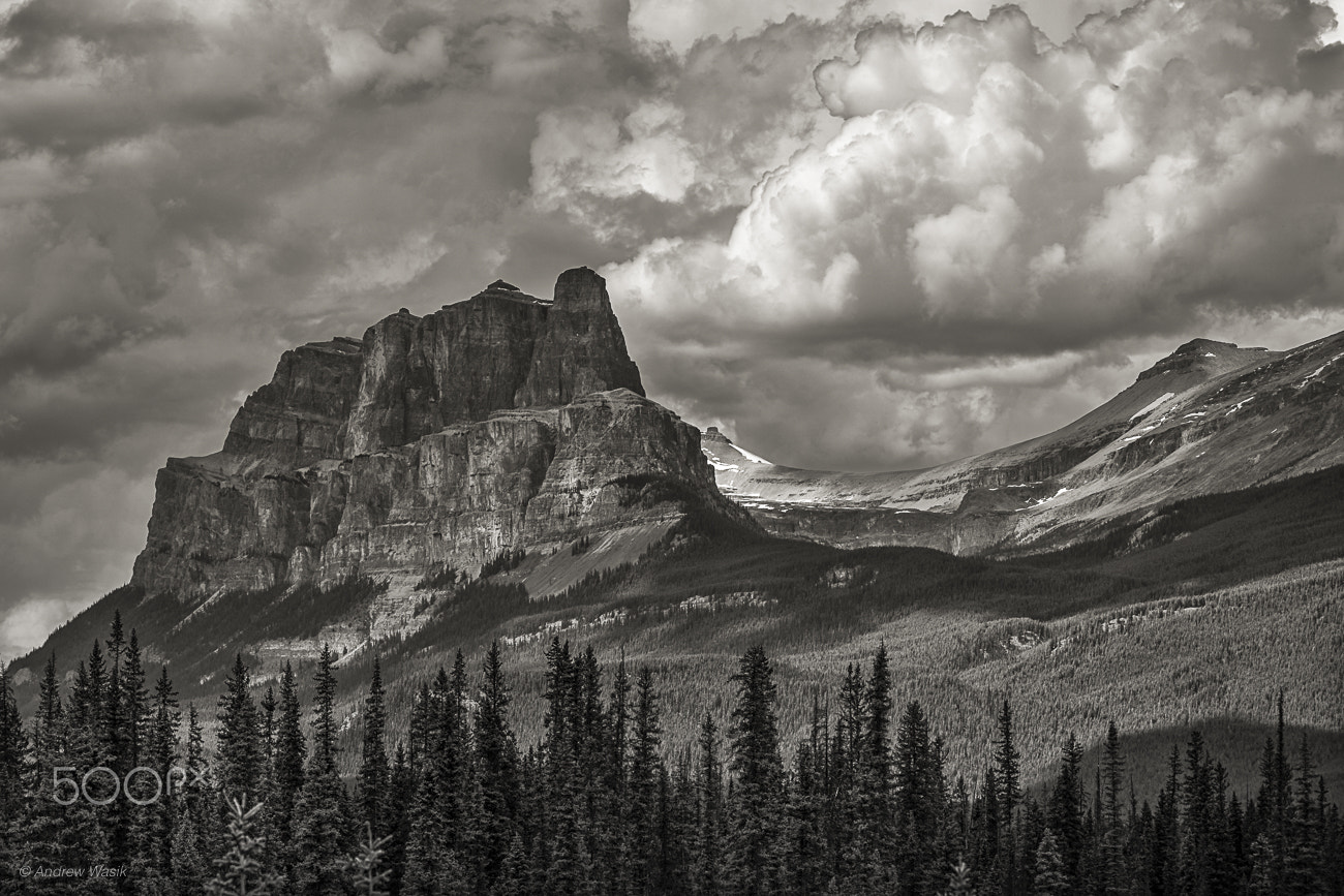 Sony a6300 + Sony FE 90mm F2.8 Macro G OSS sample photo. Castle mountain b&w photography