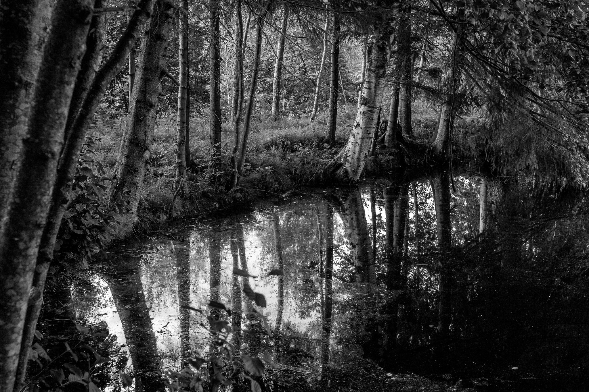 Canon EOS 60D + Canon EF 28mm F2.8 sample photo. The pond photography