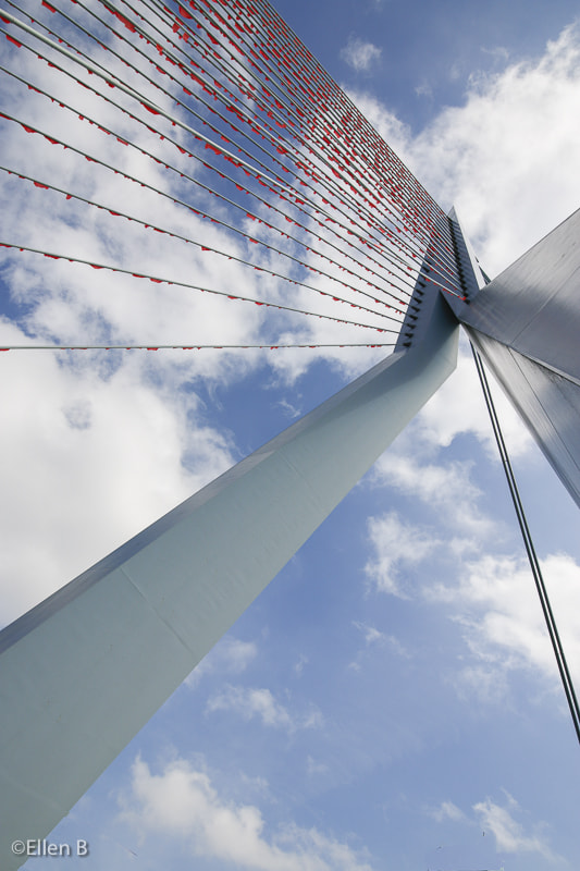 Canon EF-S 10-18mm F4.5–5.6 IS STM sample photo. Rotterdam celebrates the city photography
