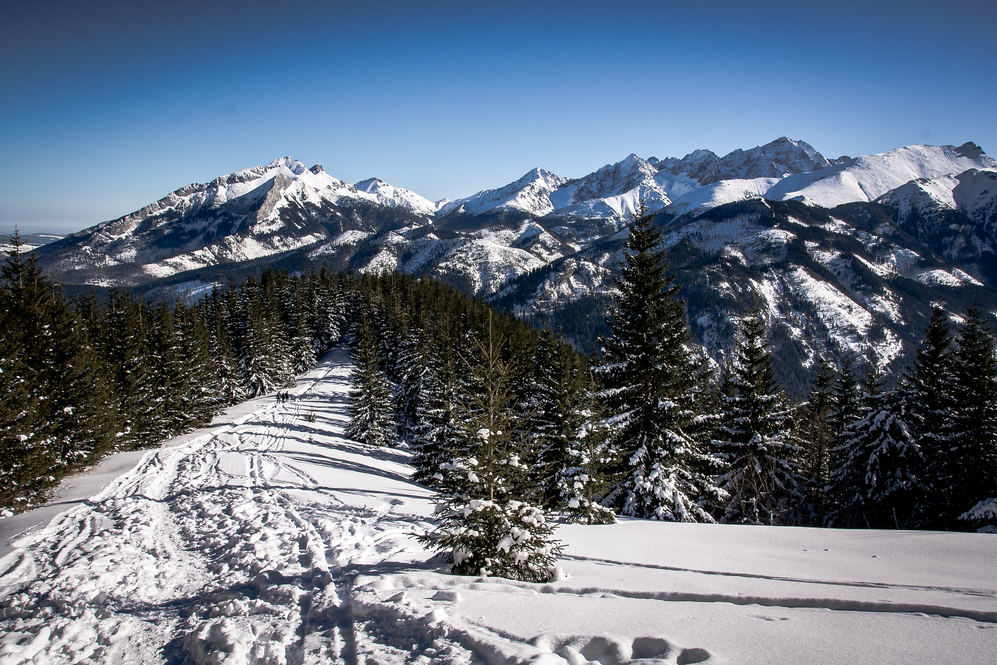 Sony Alpha DSLR-A500 + Tamron AF 28-105mm F4-5.6 [IF] sample photo. Beauty of winter photography