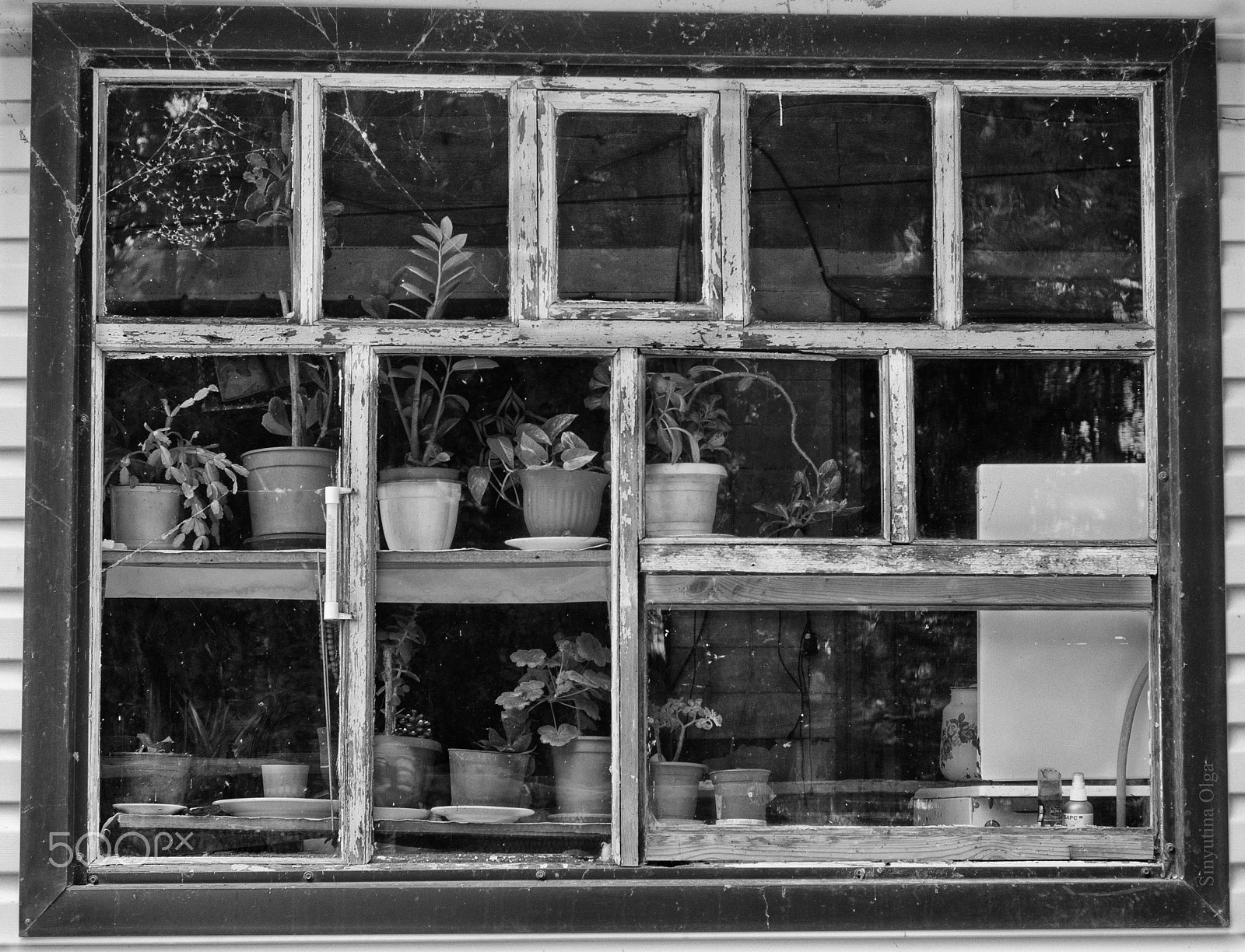 Pentax K-5 IIs + A Series Lens sample photo. Window photography