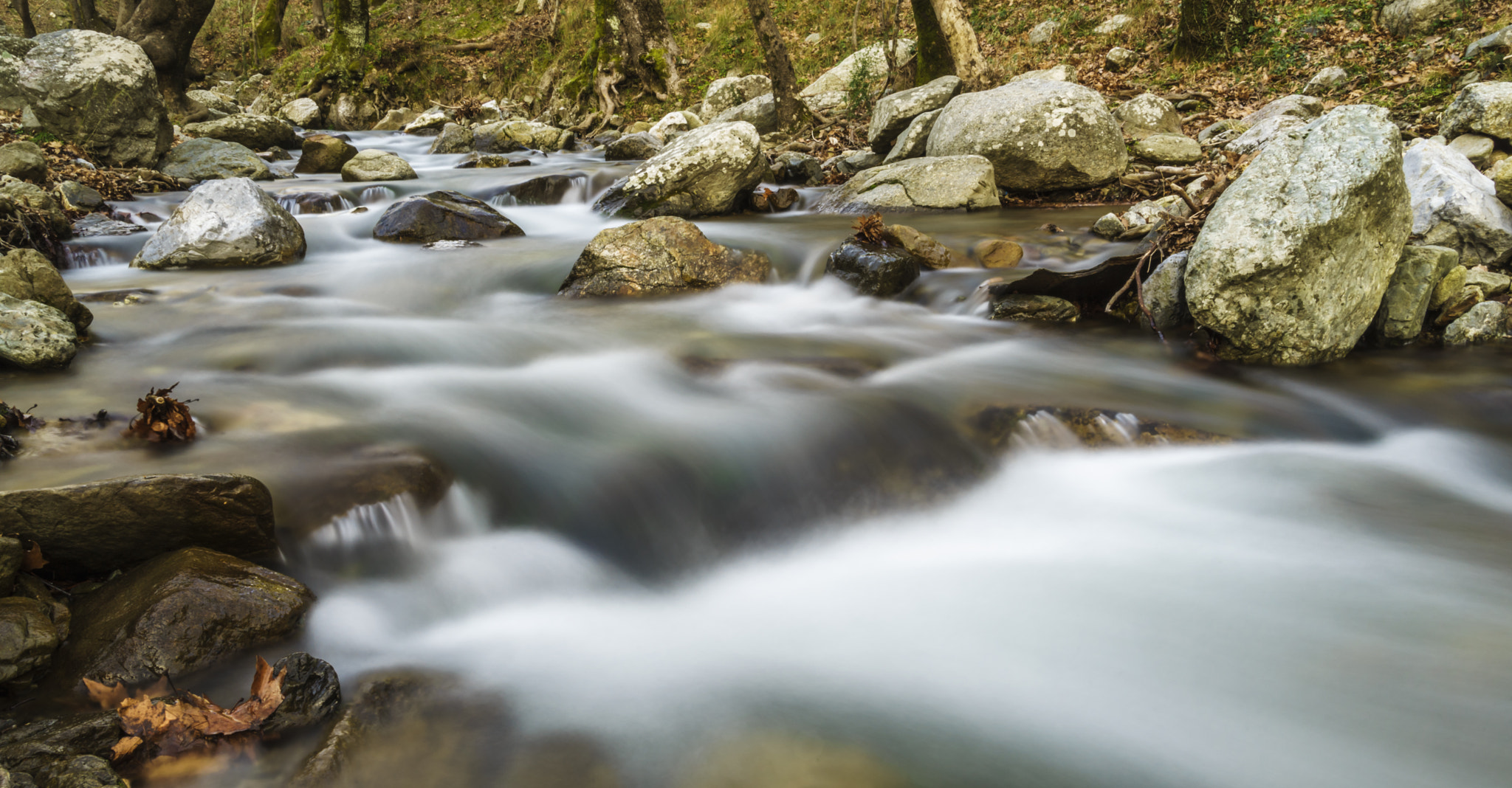 Sony a99 II + Sigma 17-70mm F2.8-4.5 (D) sample photo. Peacefulness photography