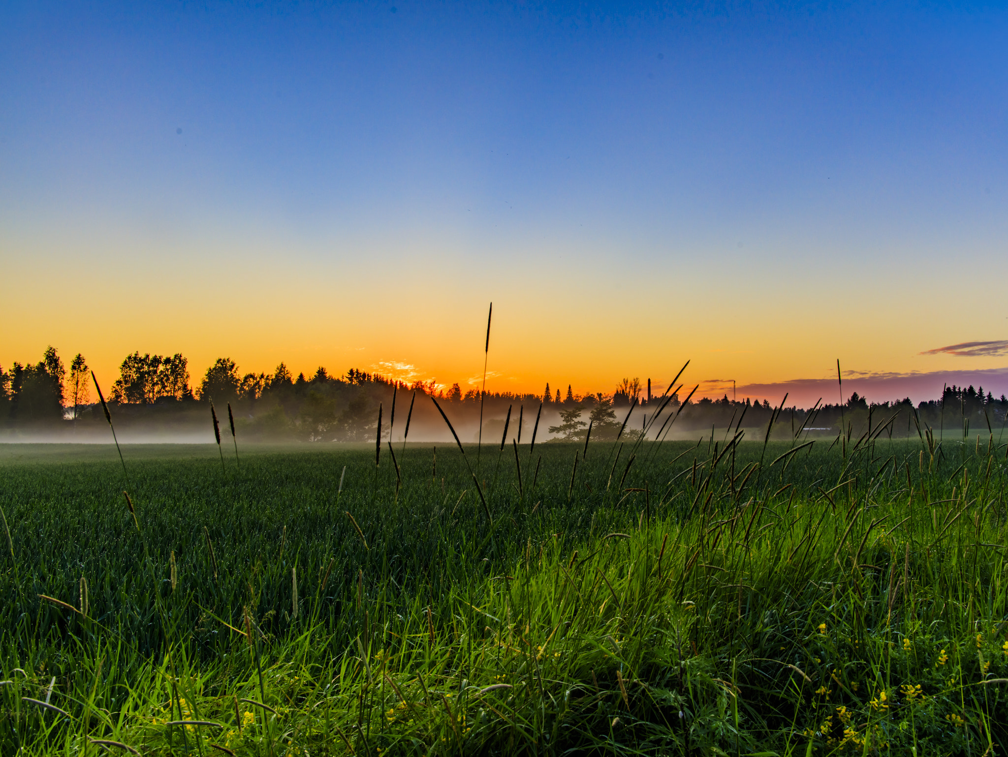 Canon EF 24mm F1.4L II USM sample photo. Mist photography