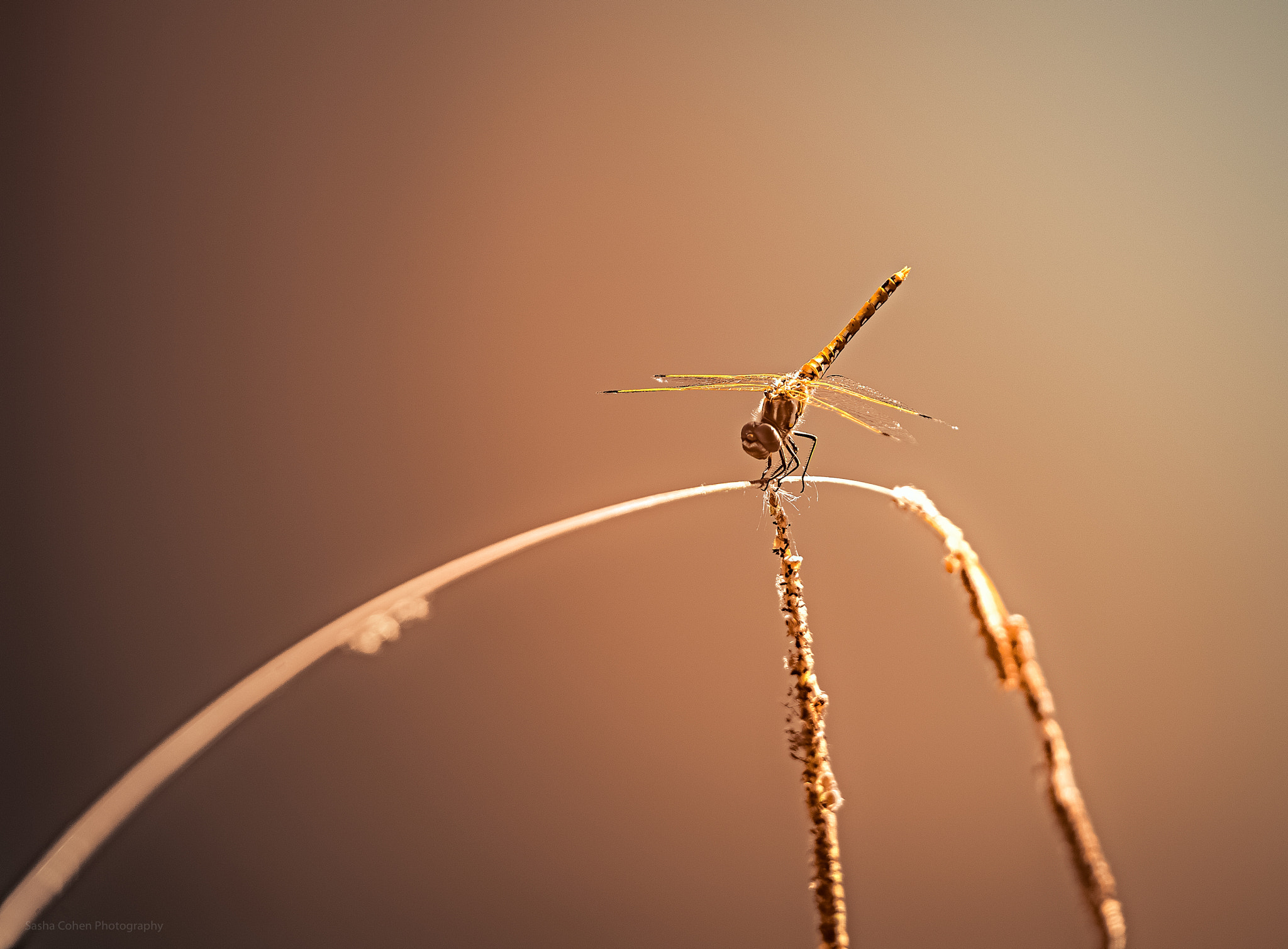 Canon EOS 5D sample photo. Balance photography
